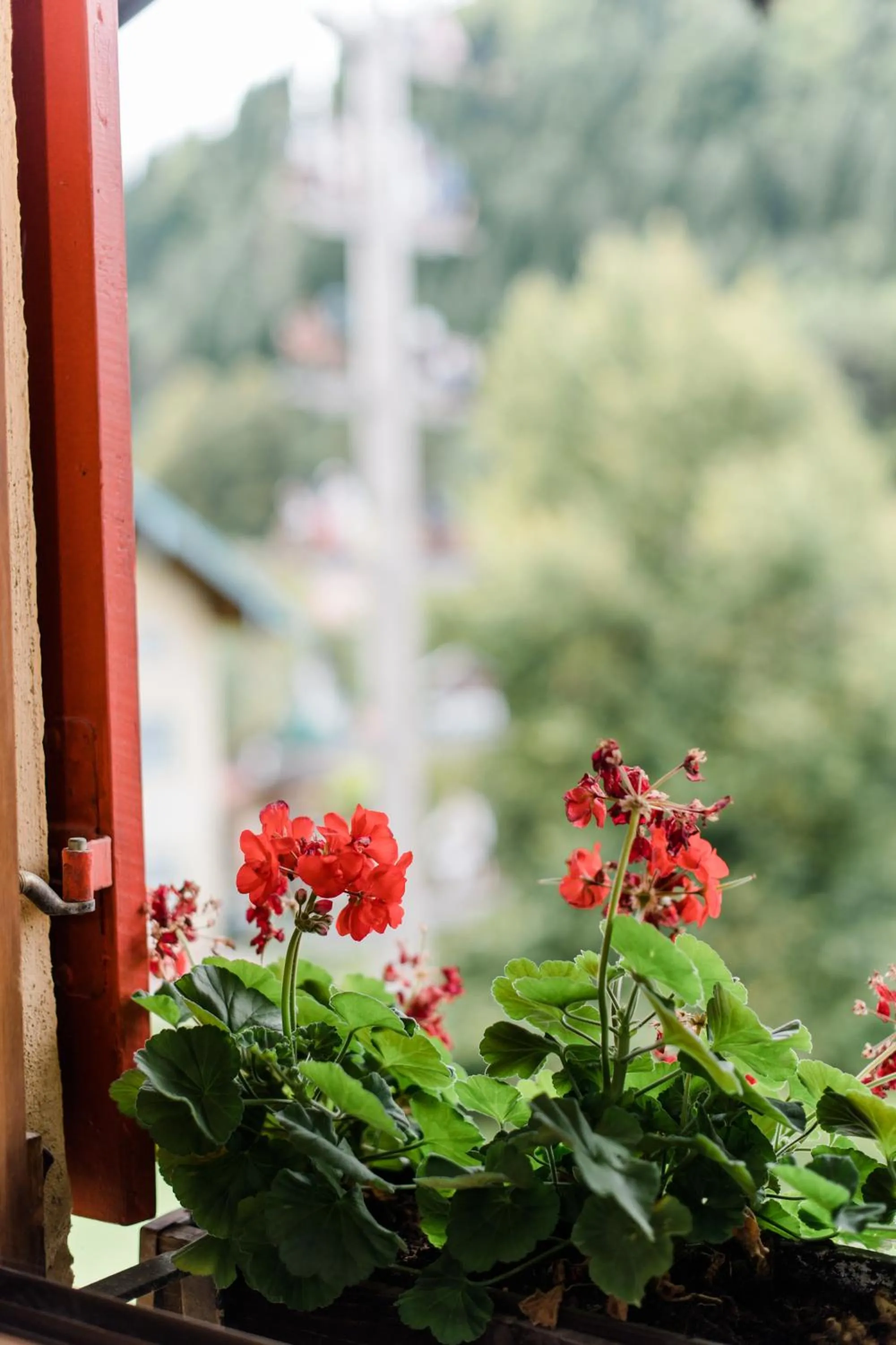 View (from property/room) in Posthotel Sachrang