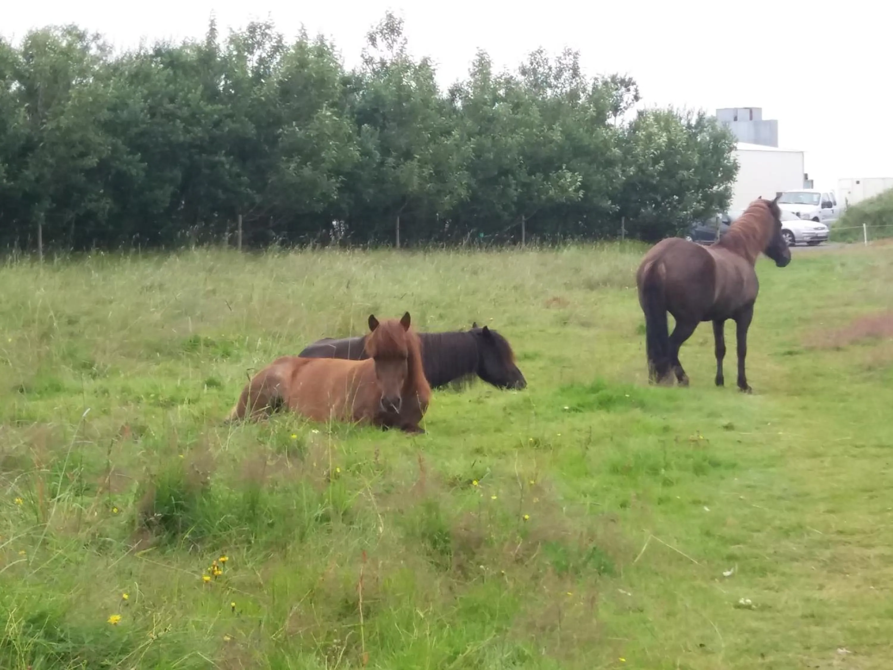 Activities in Hotel Vos