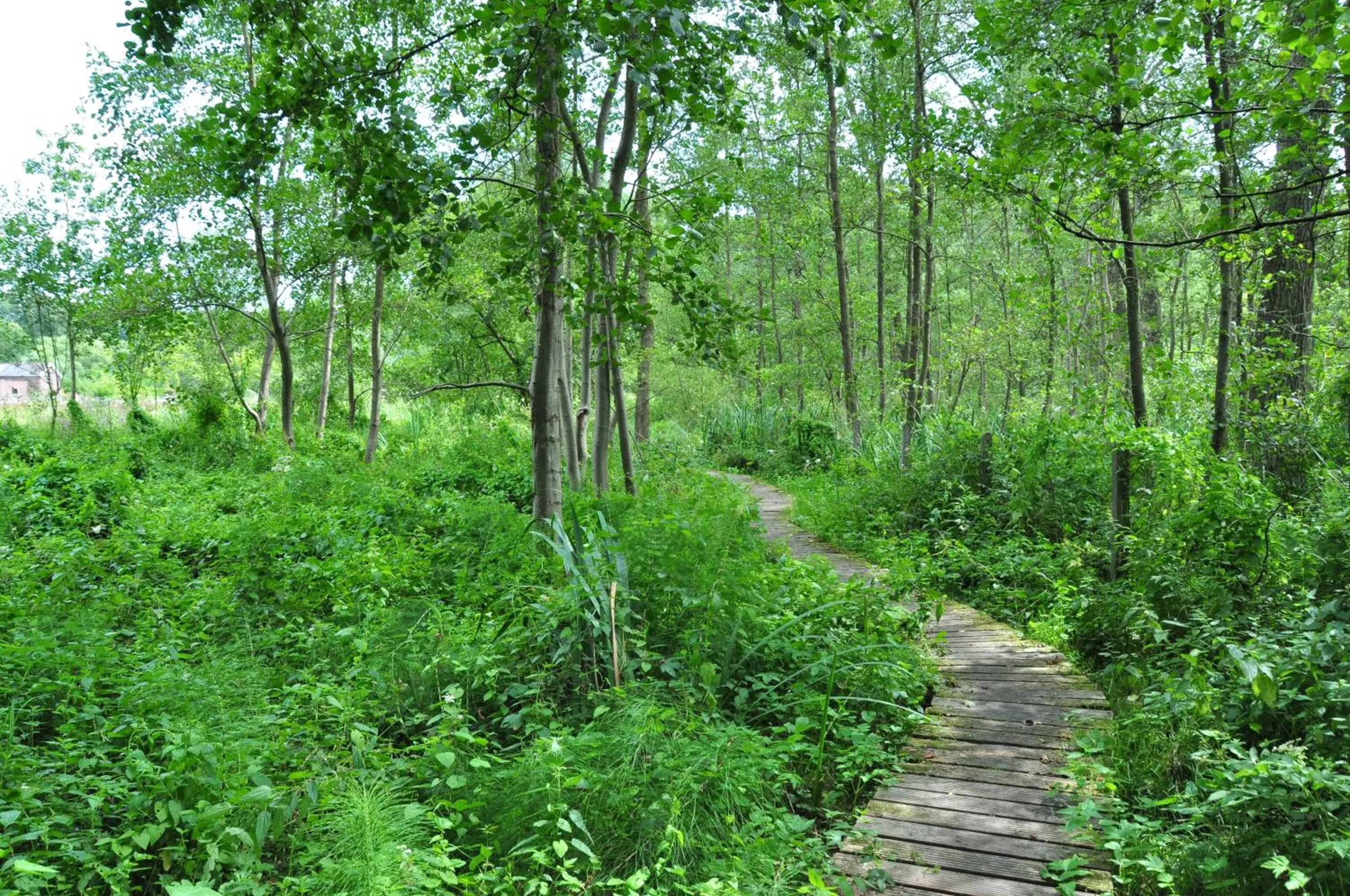 Activities in Chillann