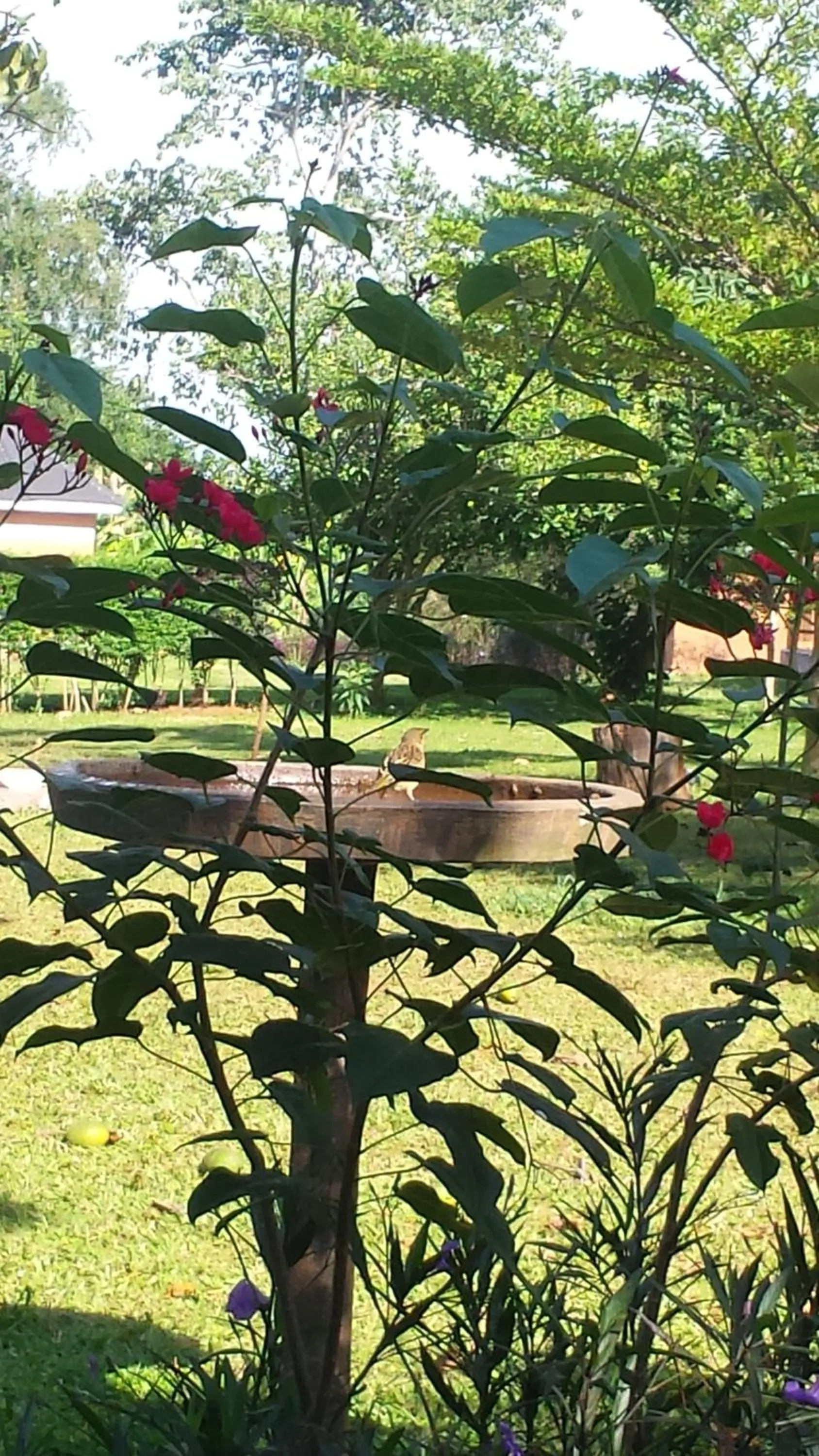 Property building in Philo Leisure Gardens