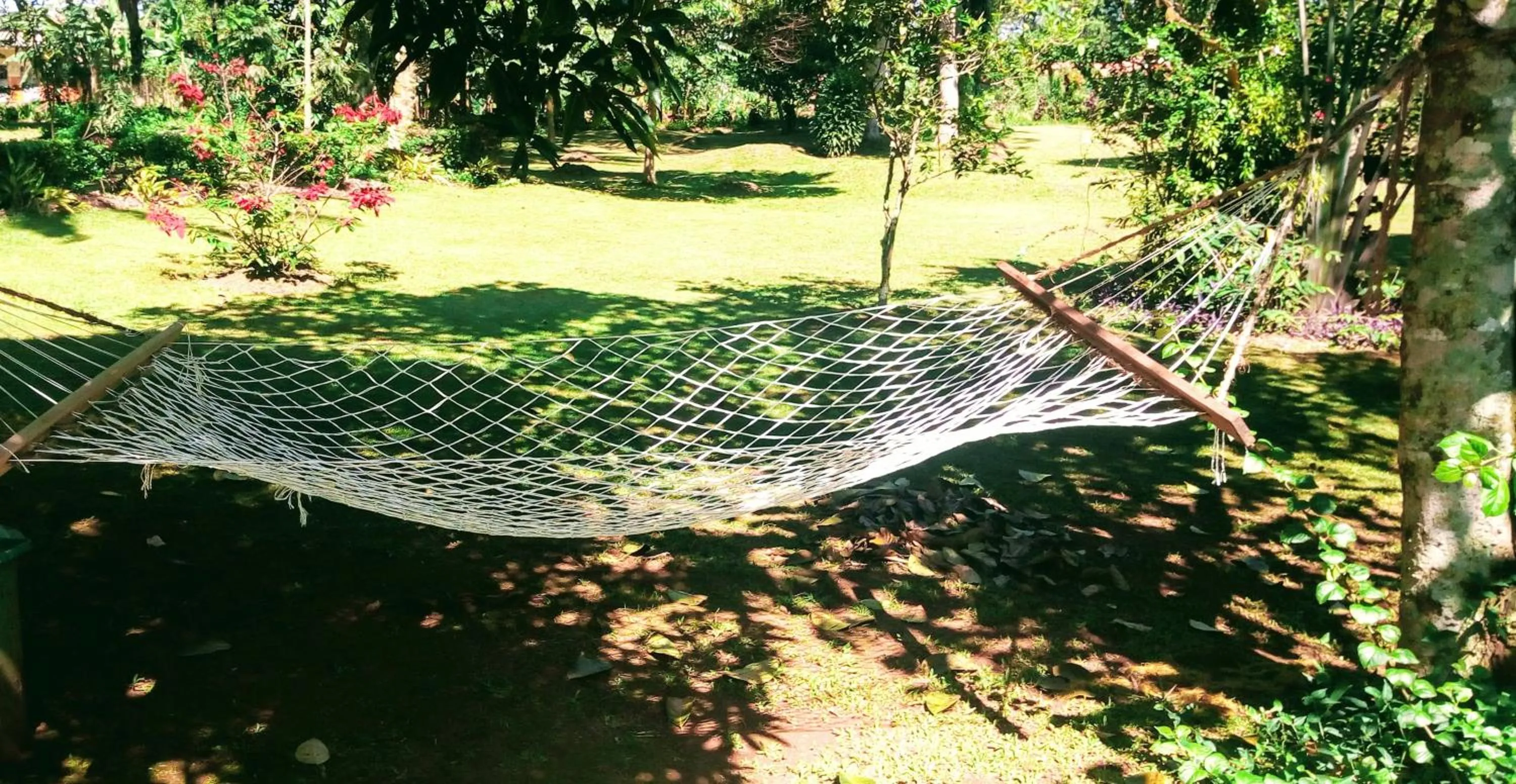 Garden in Philo Leisure Gardens