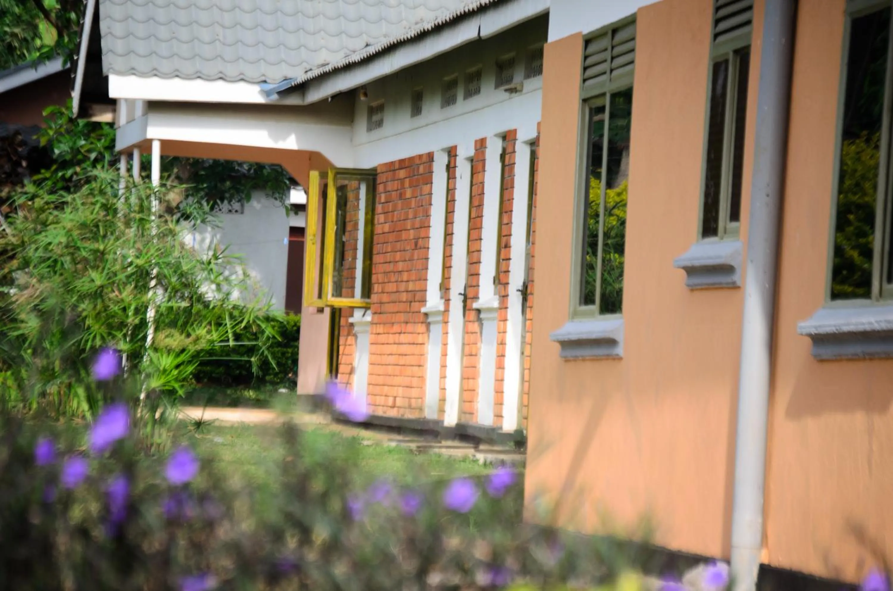 Property building in Philo Leisure Gardens