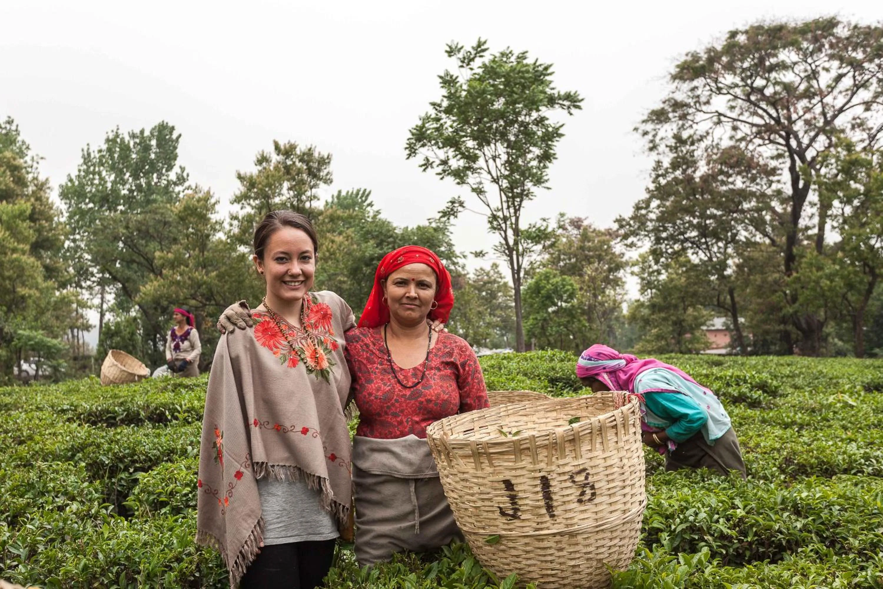 Activities in Rakkh Resort, a member of Radisson Individuals Retreats