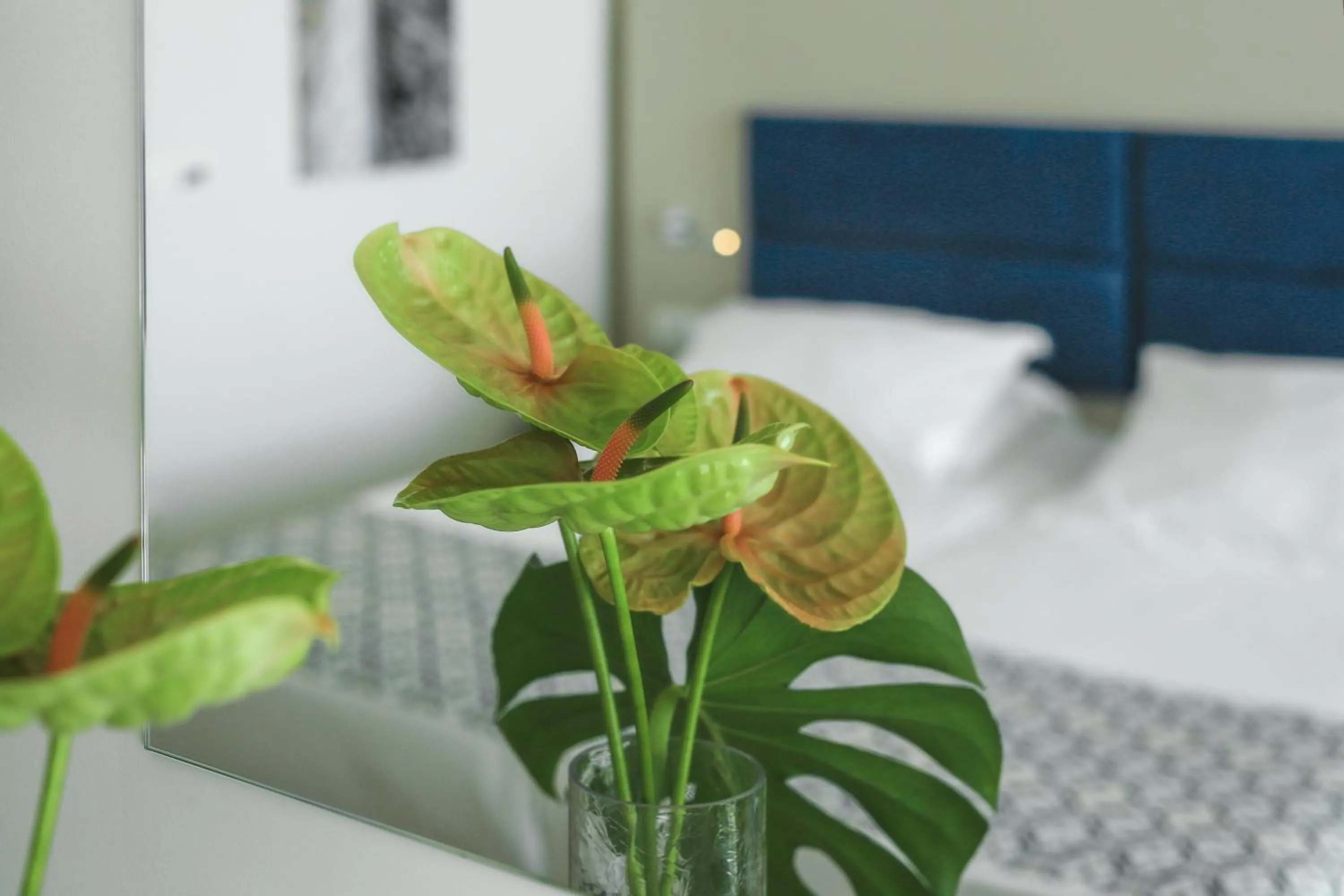 Bedroom in Romana Beach Resort