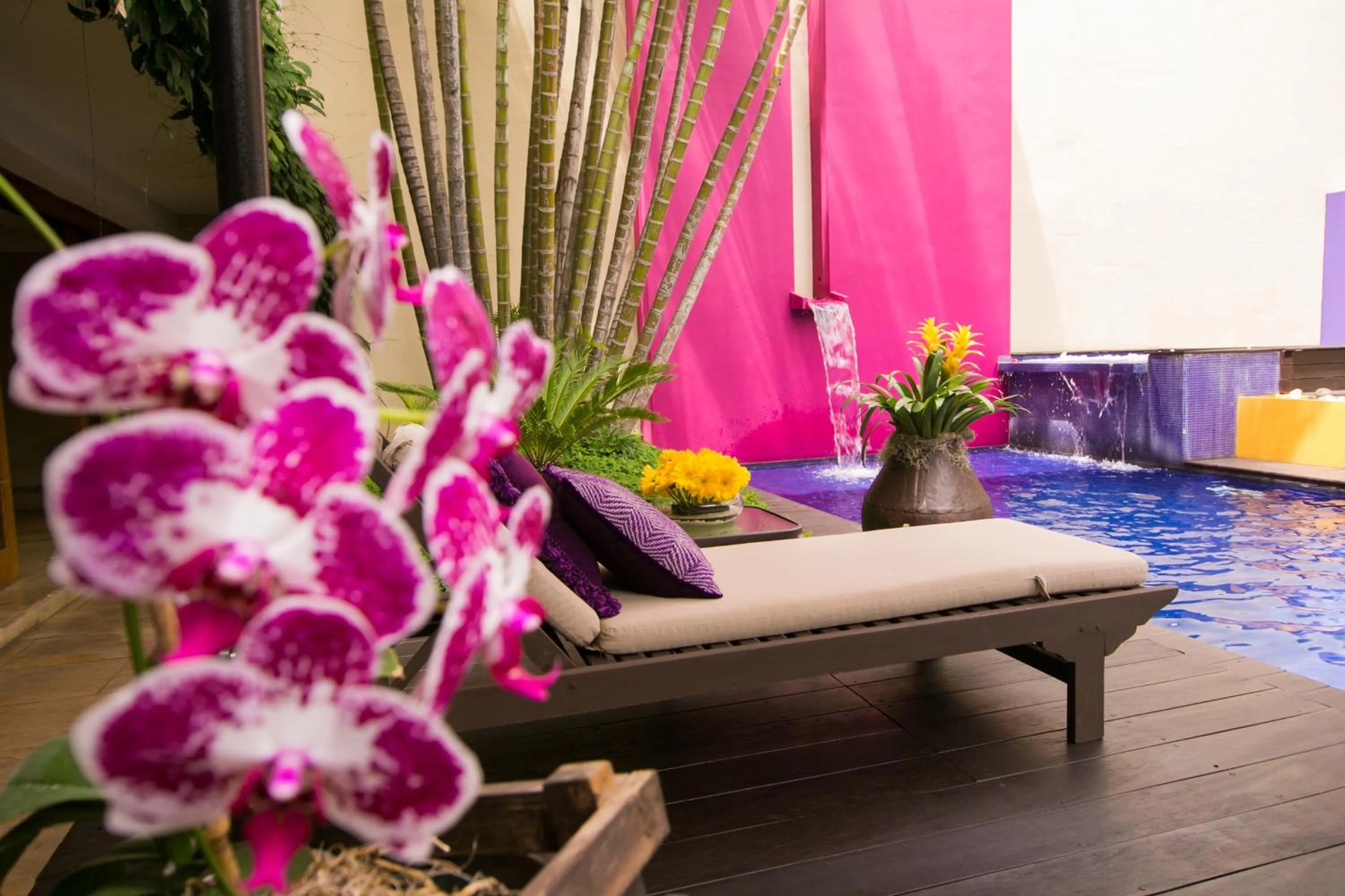 Swimming pool in Apart-Hotel Casa Serena