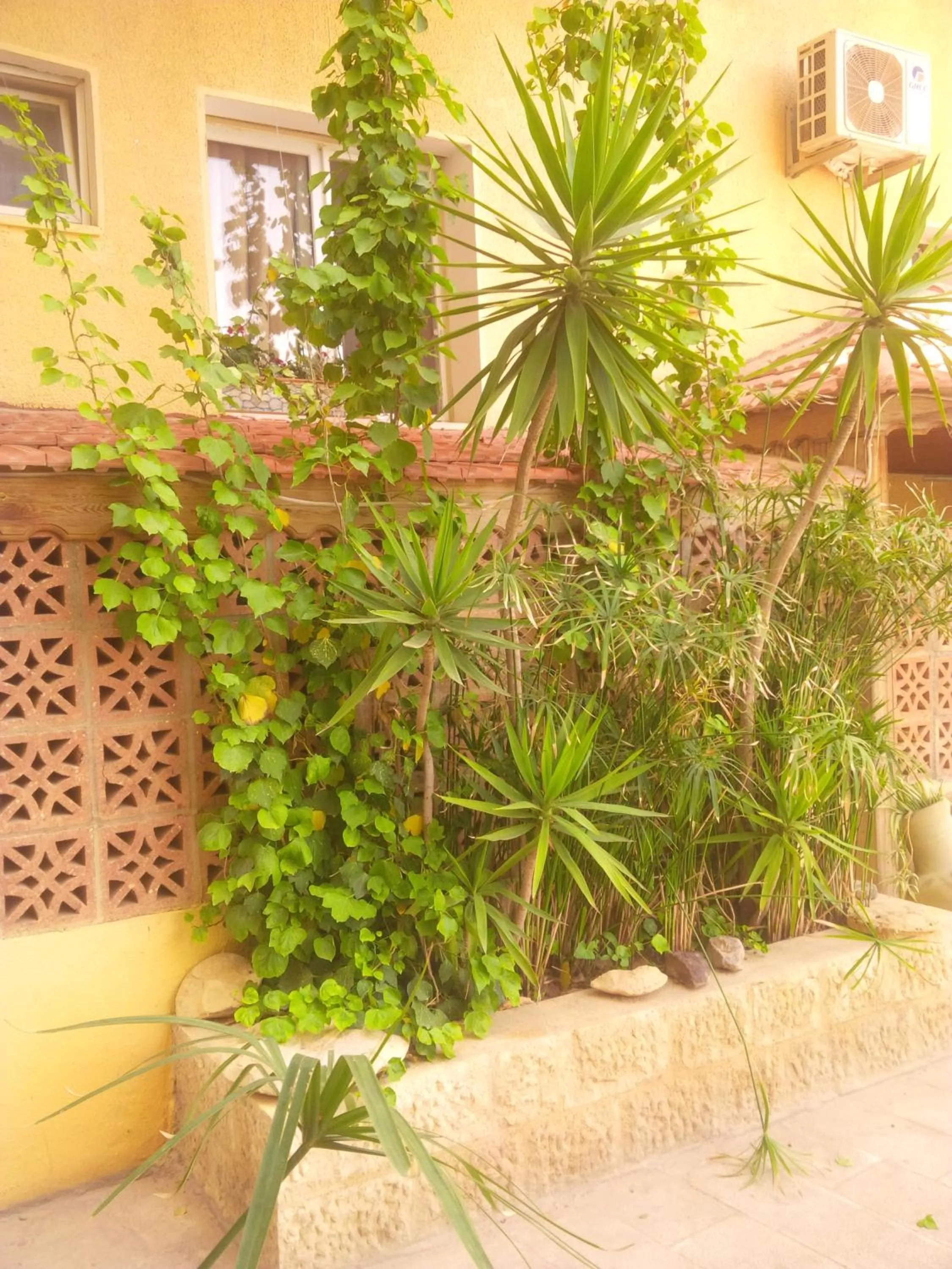 Seating area in Mariam Hotel