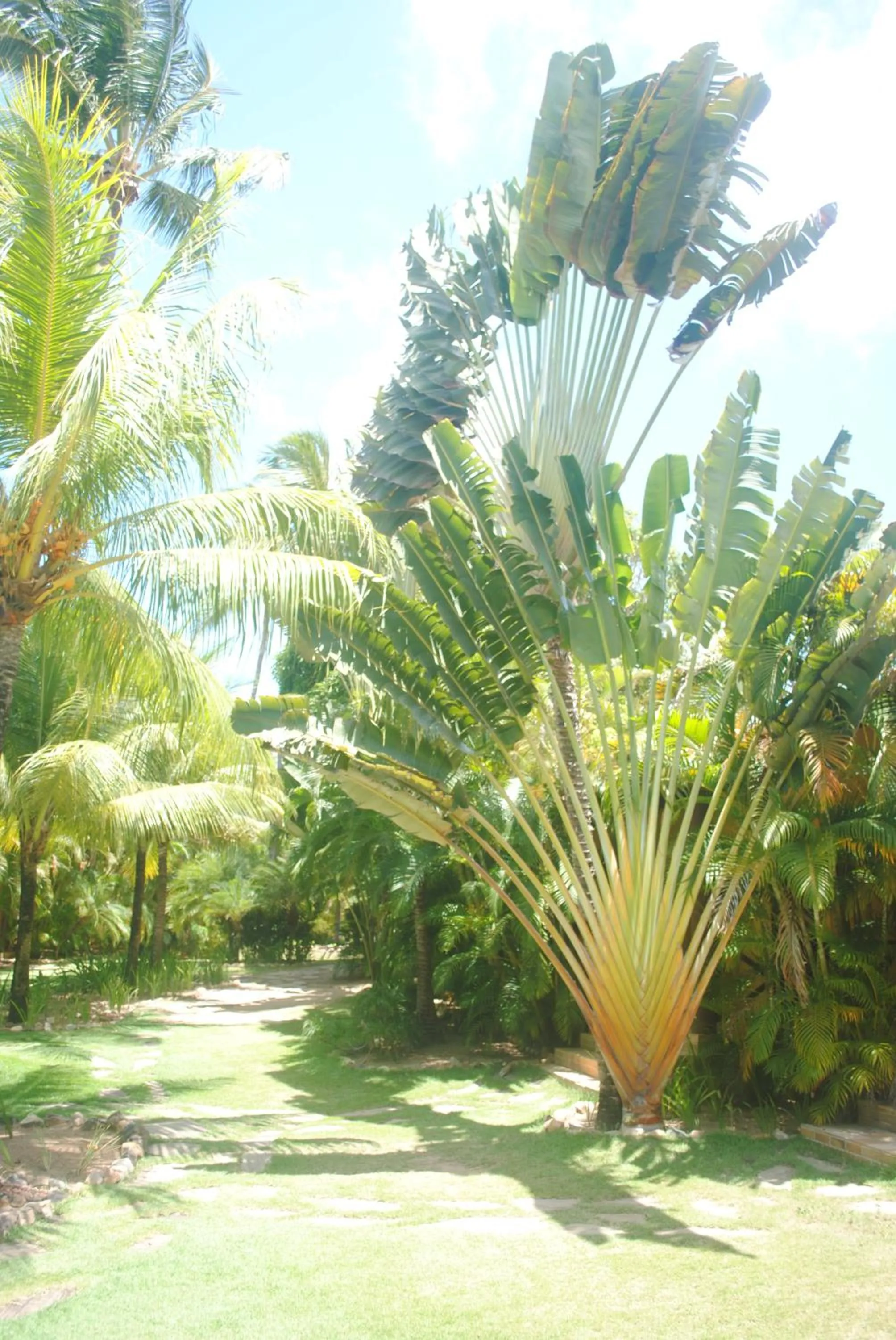 Garden in Casa Girassois