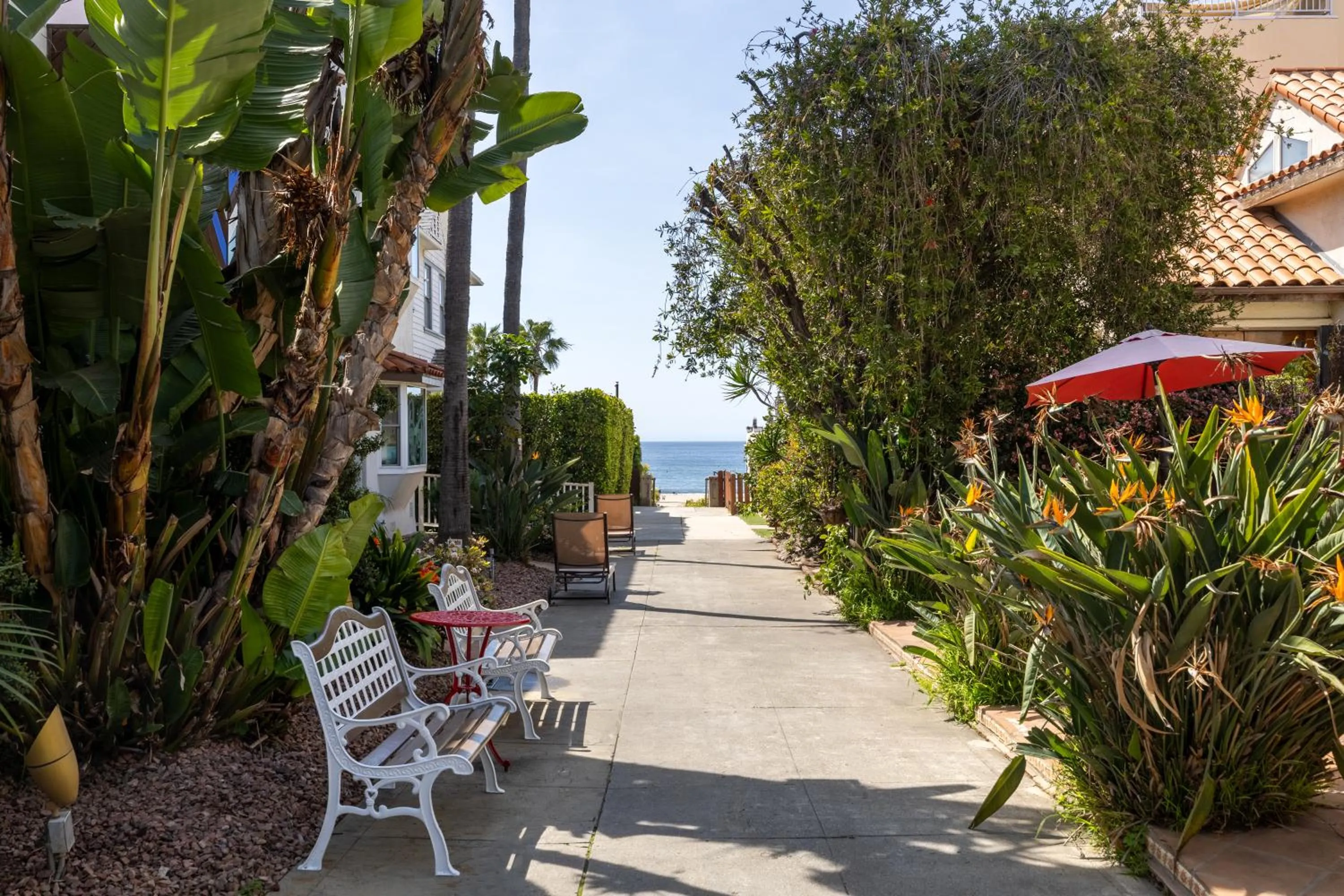 Garden view in Sea Blue Hotel