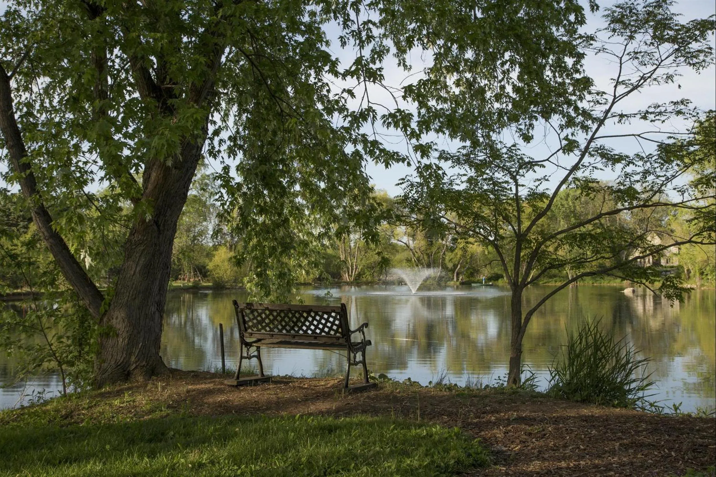 Garden in Pheasant Field Bed and Breakfast