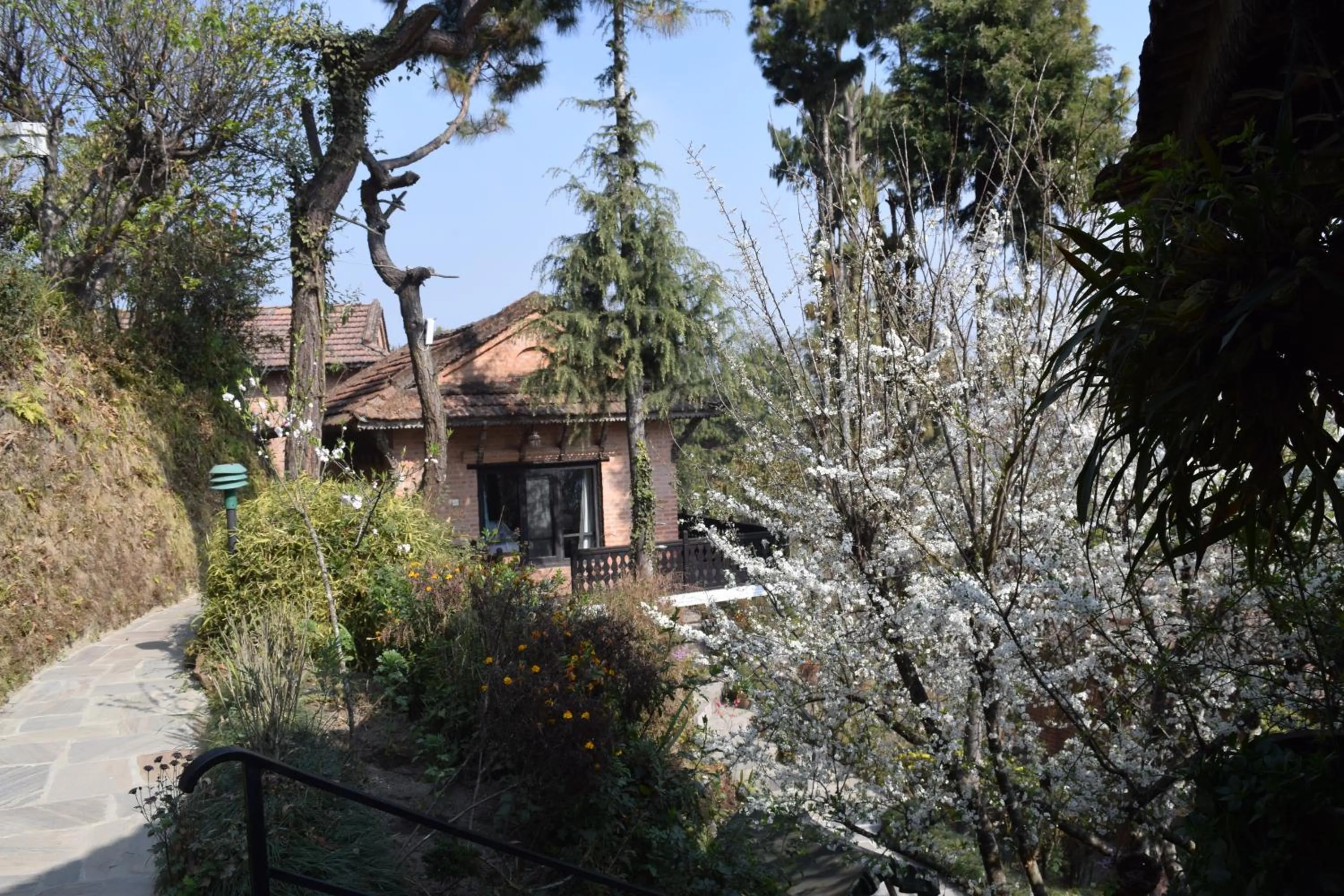 Garden in The Fort Resort