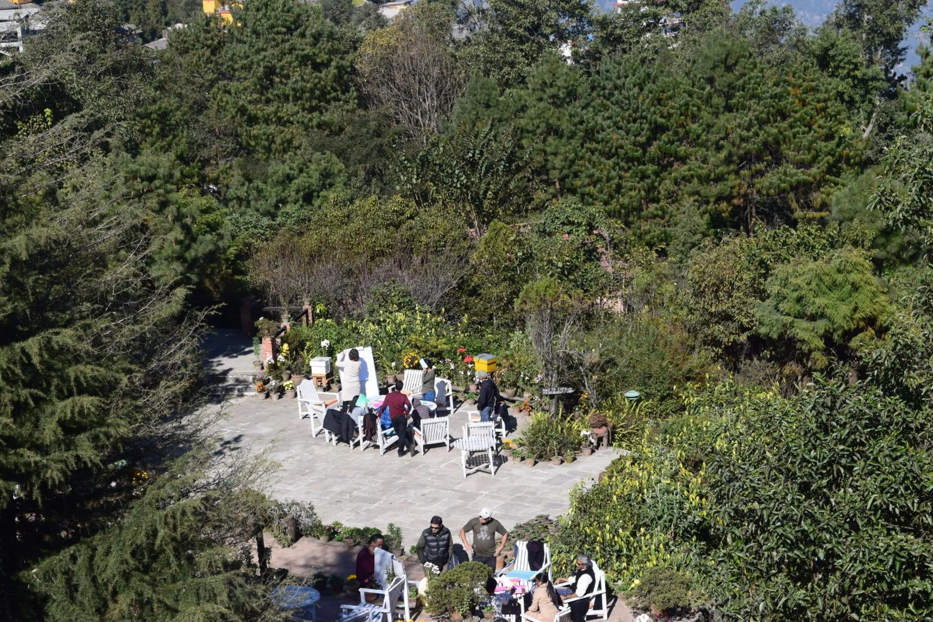 Garden in The Fort Resort