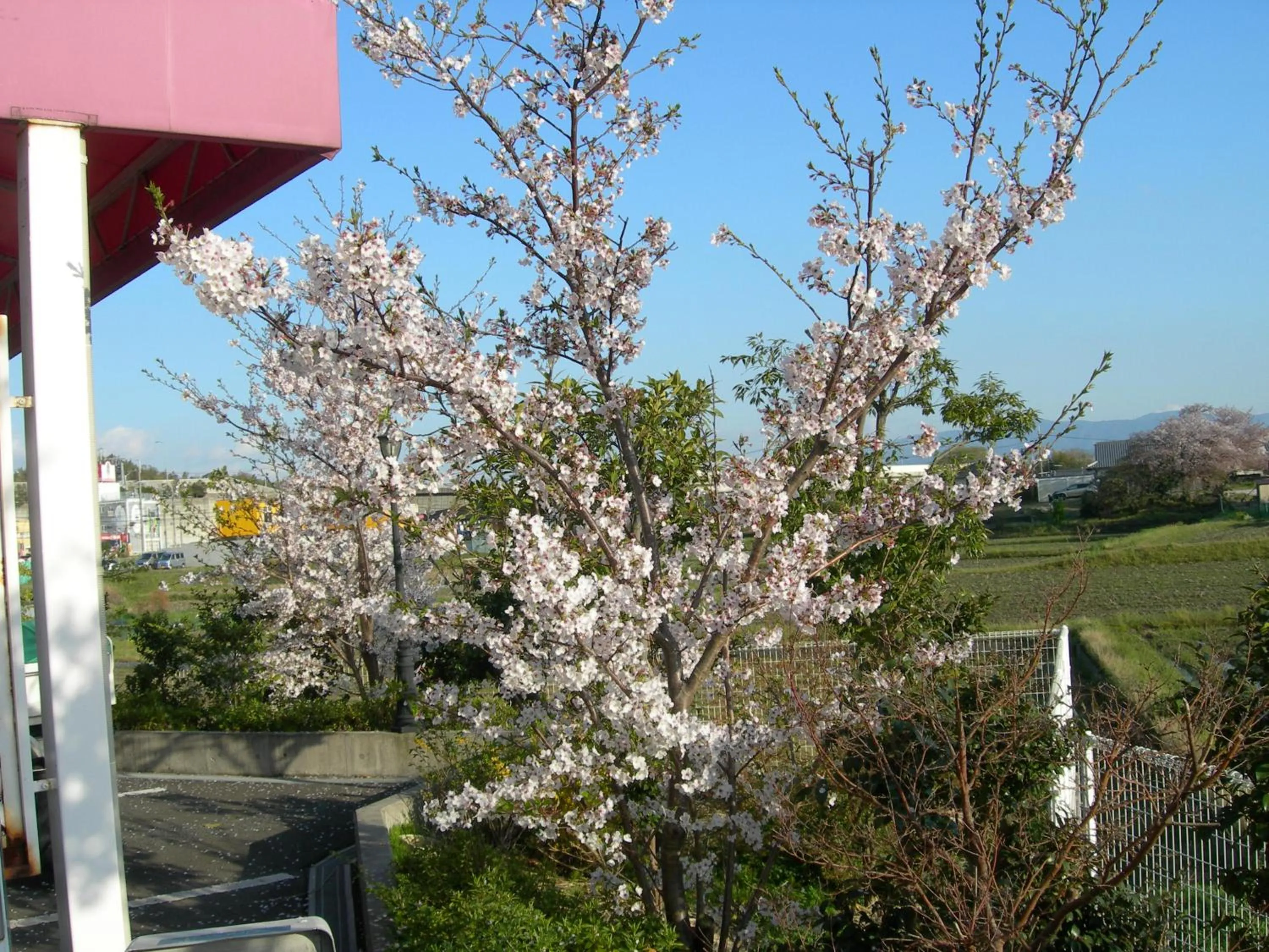 Property building in Hotel Hyper Noah (Adult Only)