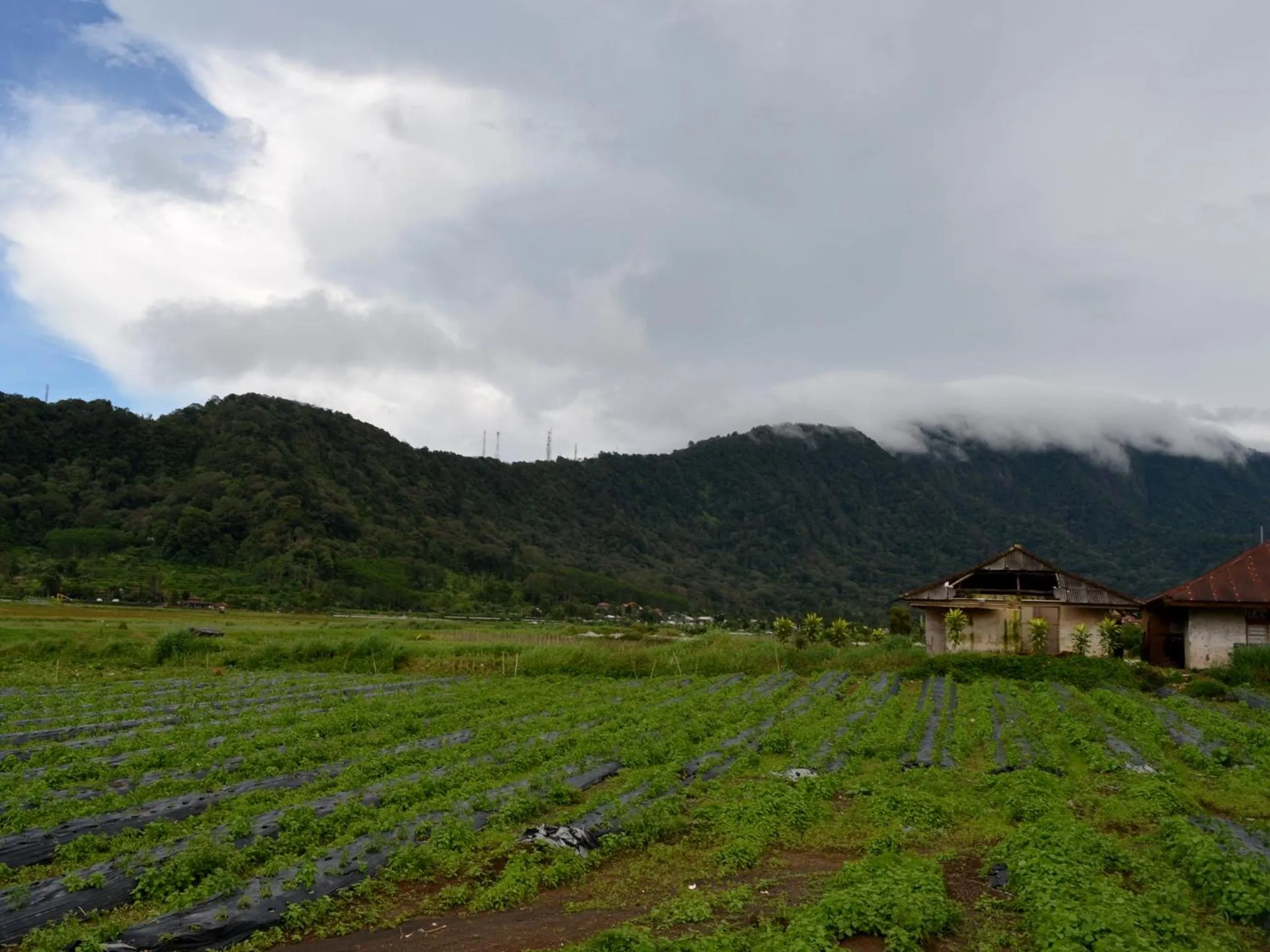 Natural landscape in Dajan Buyan Homestay