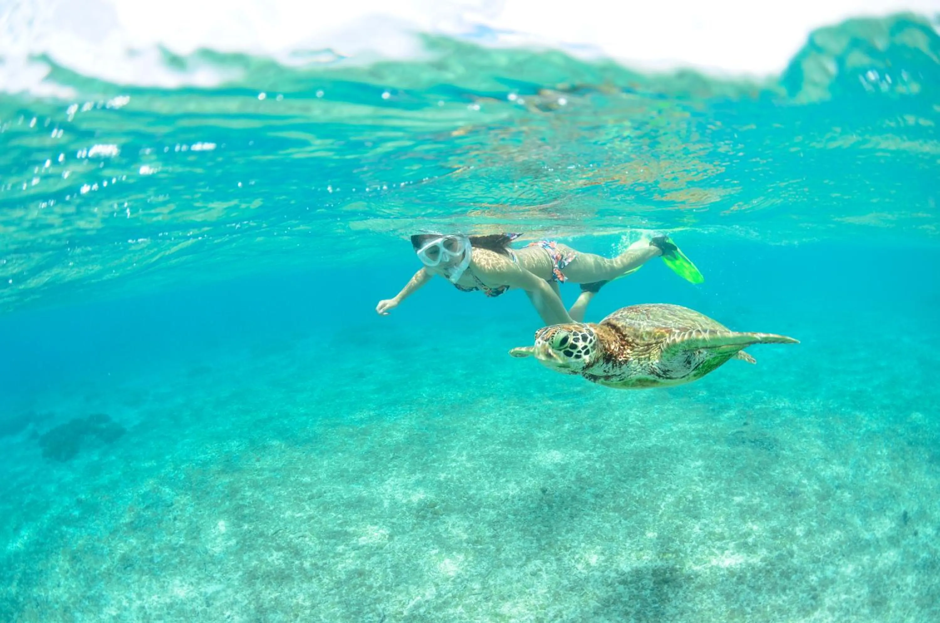 Activities in Allamanda Imgya Coral Village