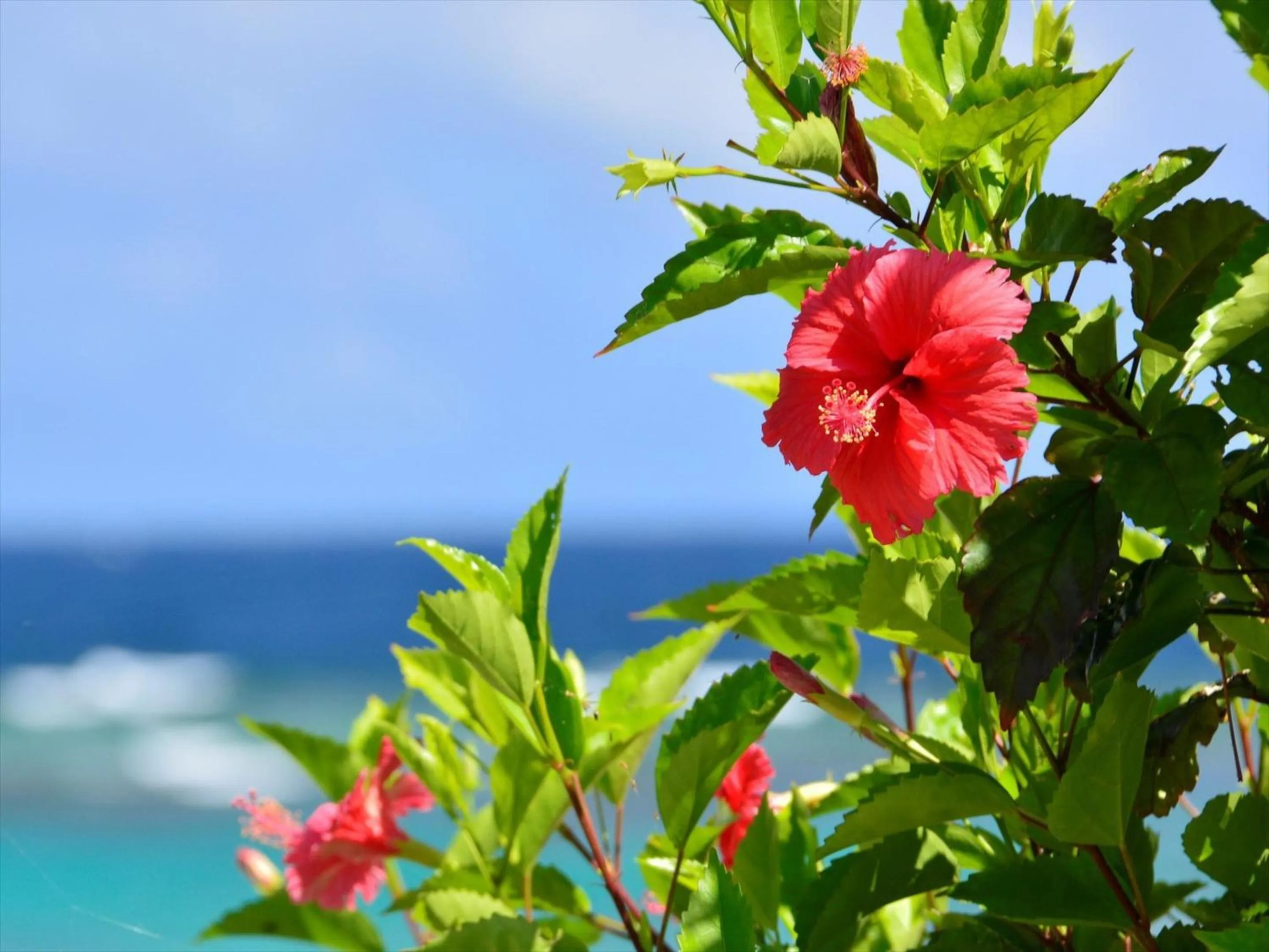 Off site in Allamanda Imgya Coral Village