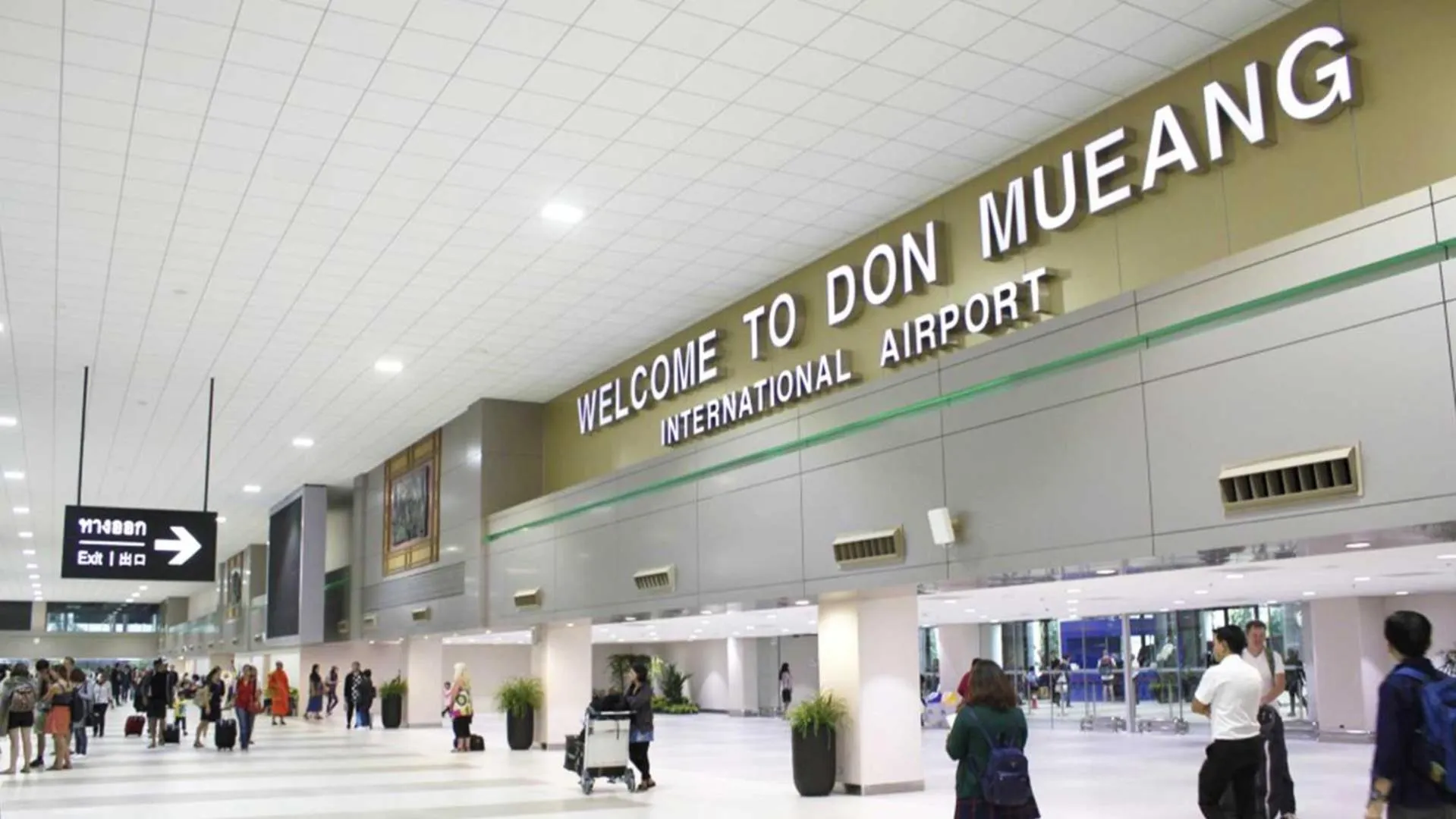 Other in Sleep Owl Hostel