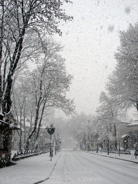 Property building in Albergo Pensione Paola