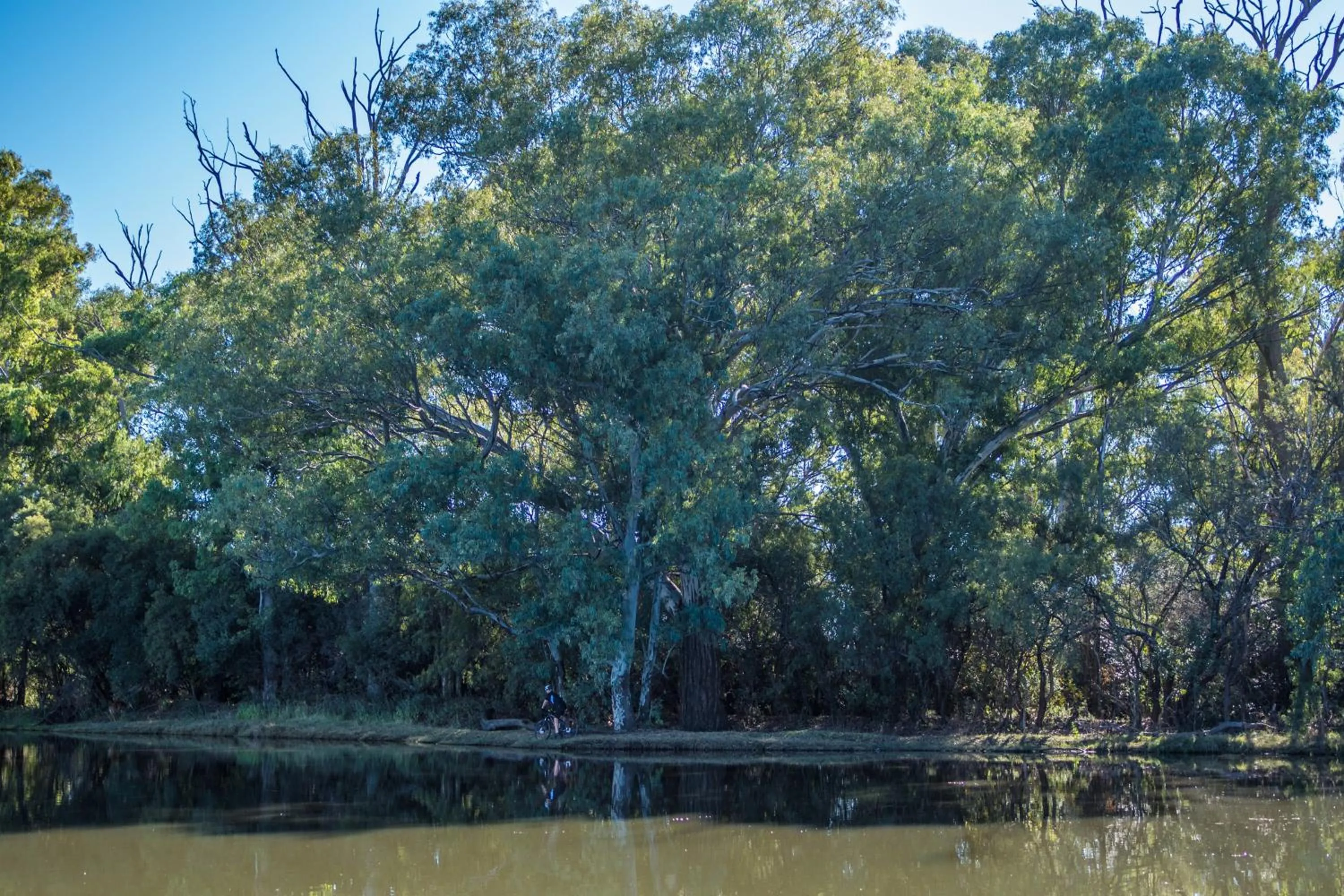 Cycling in The Royal Fischer Hotel