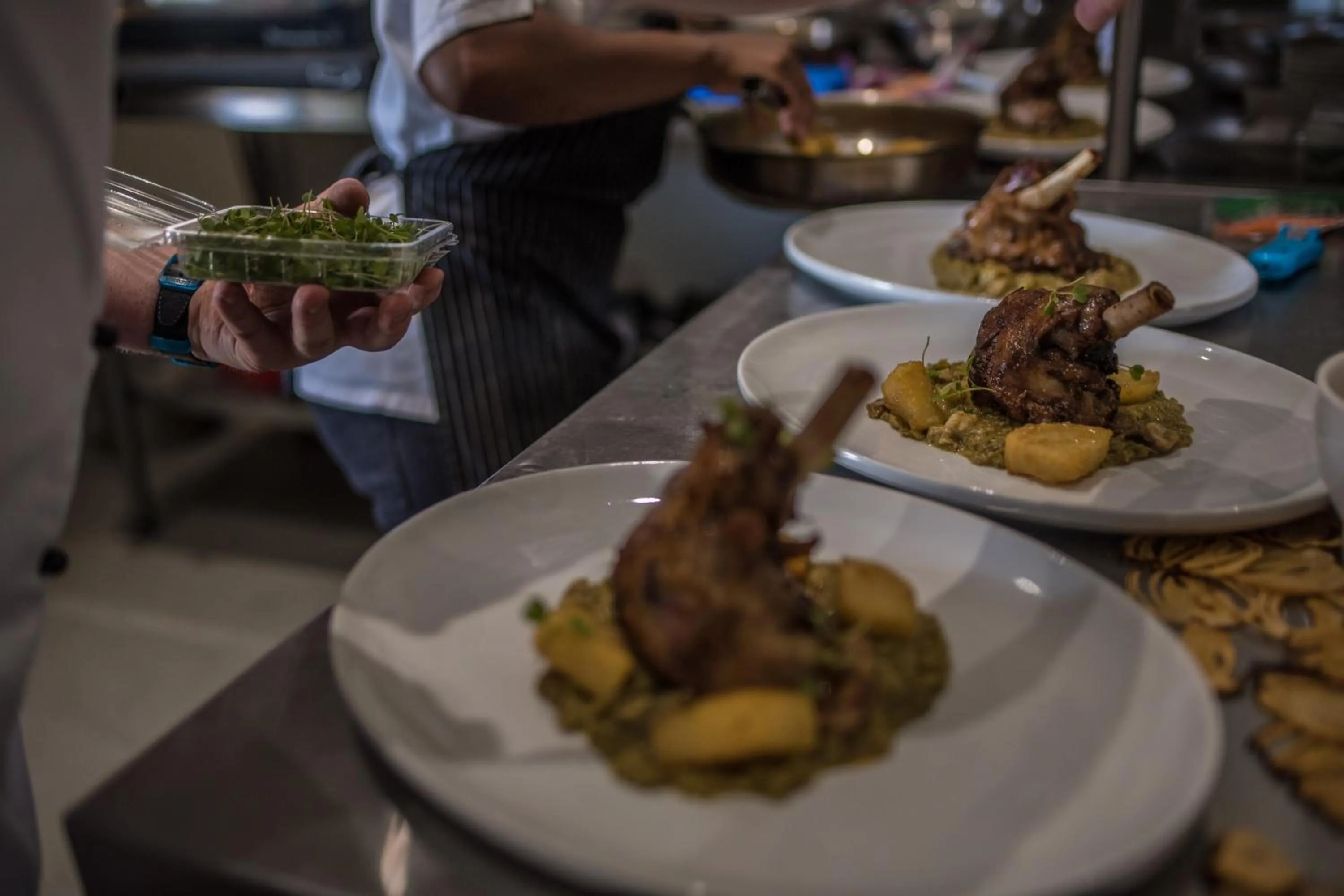Food close-up in The Royal Fischer Hotel