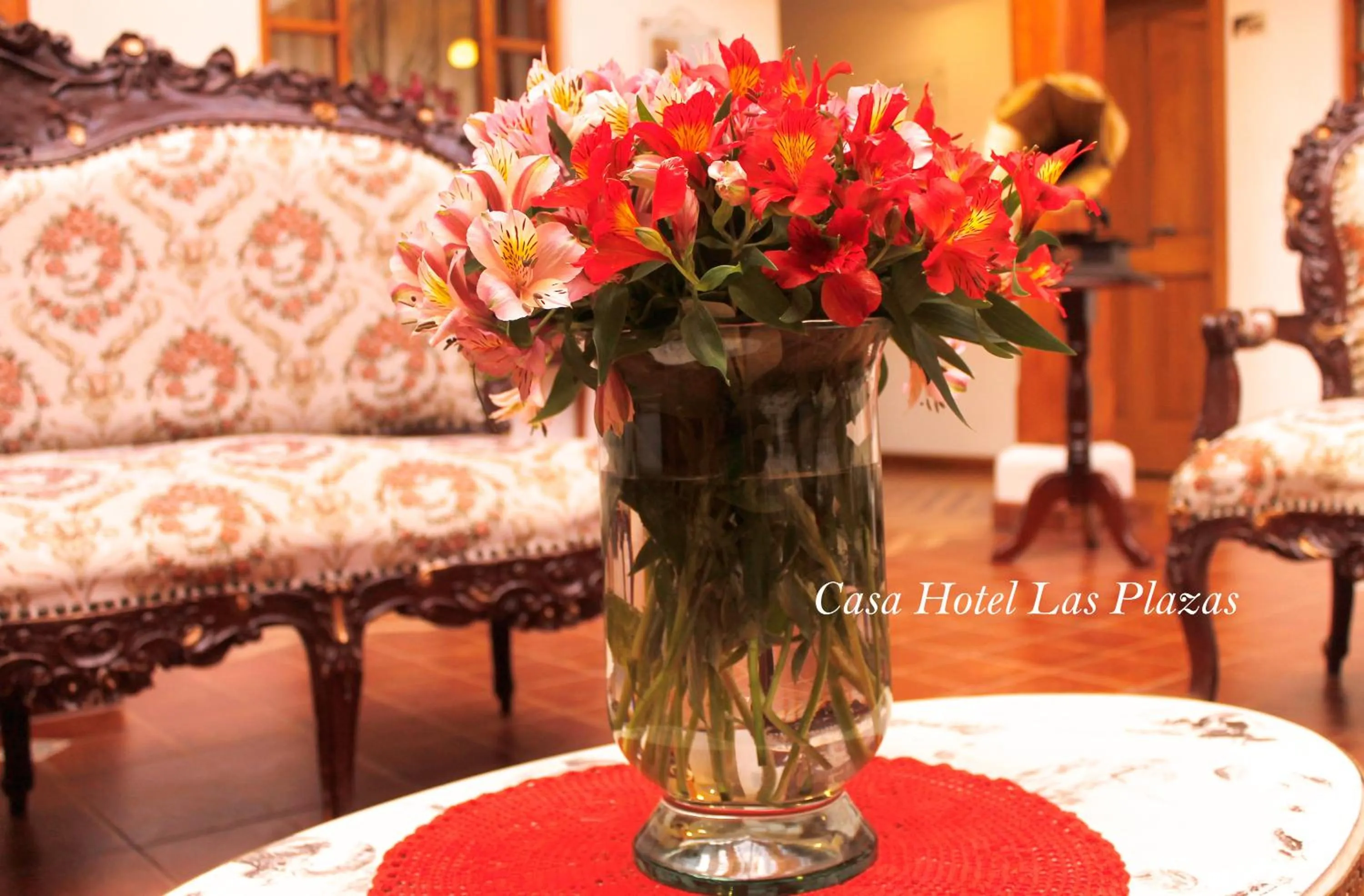 Patio in Casa Hotel Las Plazas