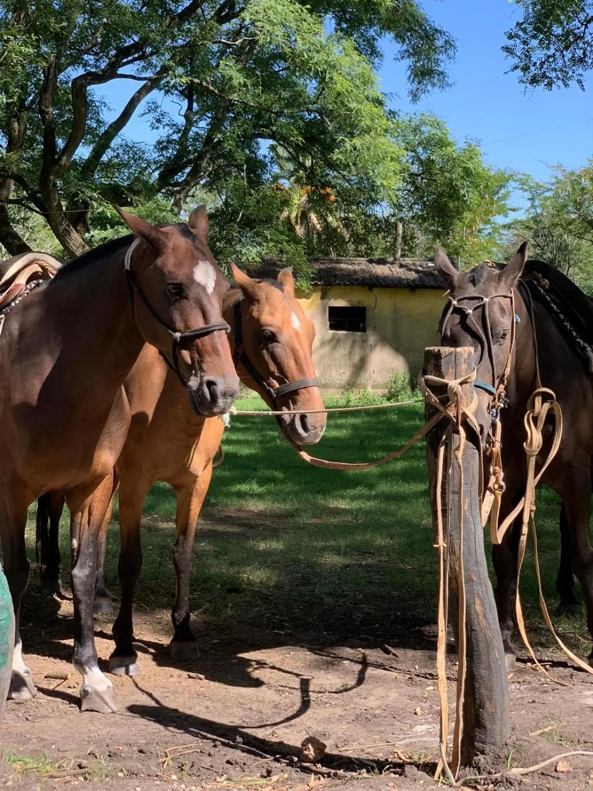 Activities in Palacio Santa Candida