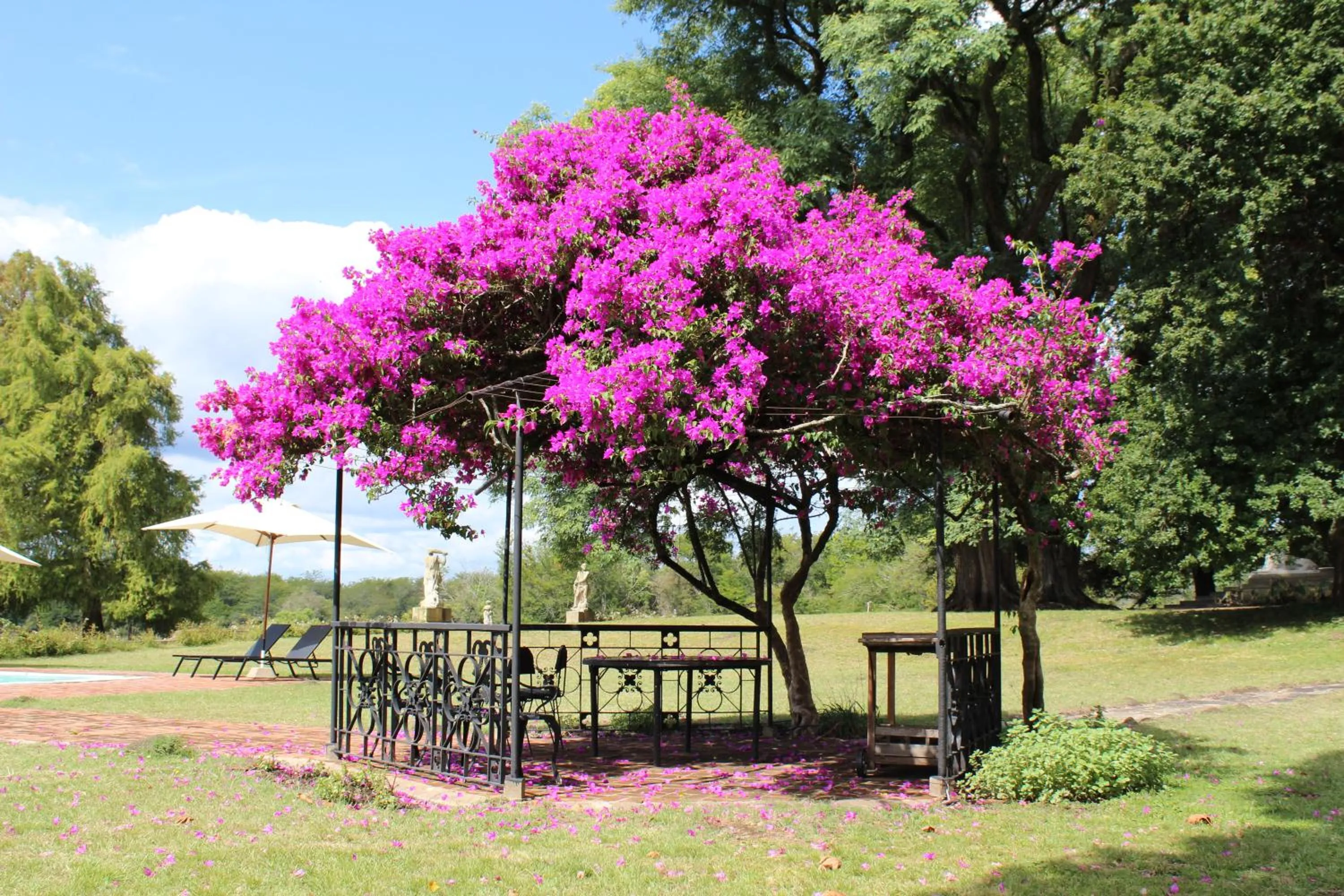 Spring in Palacio Santa Candida
