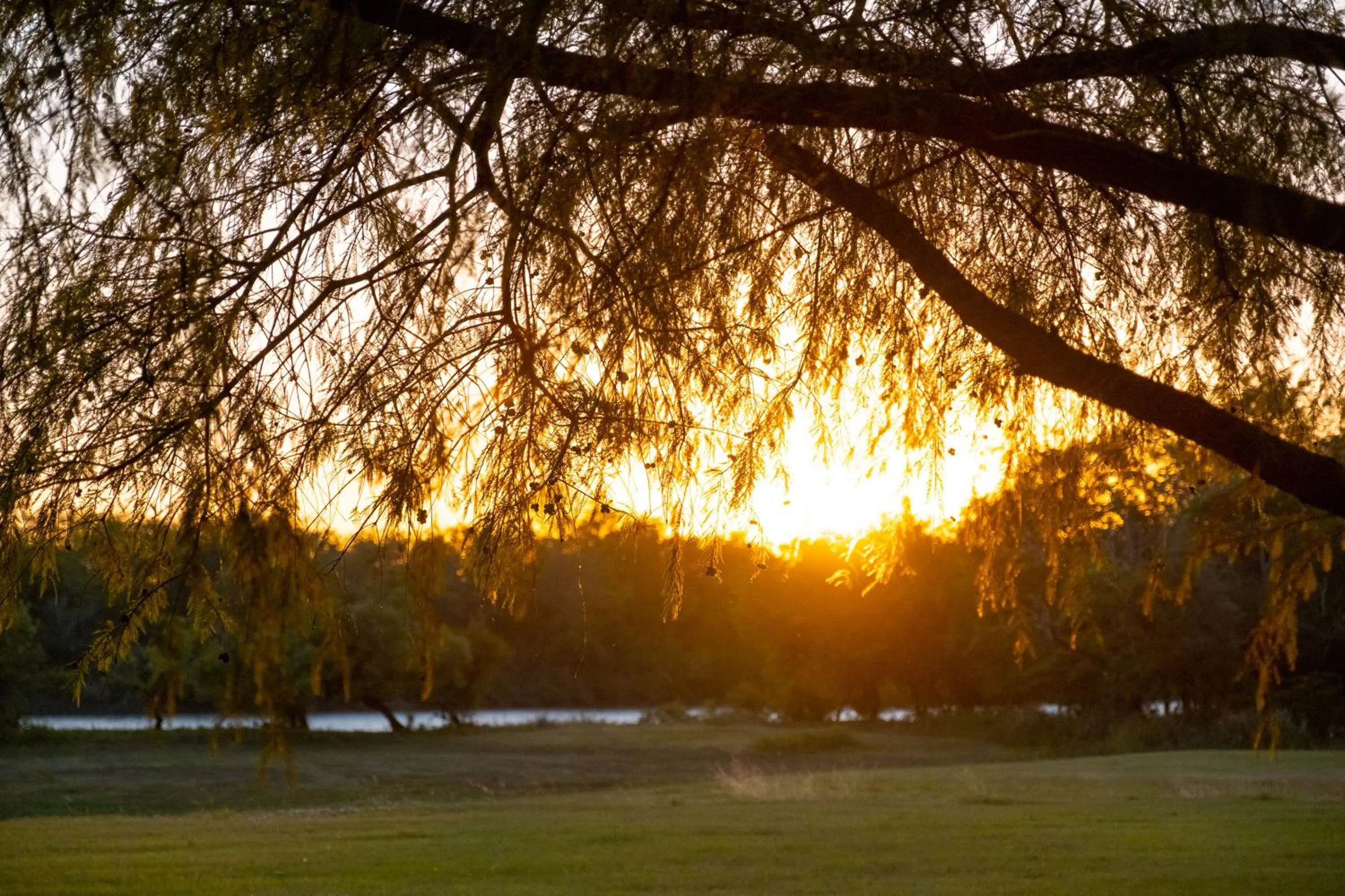 Natural landscape in Palacio Santa Candida