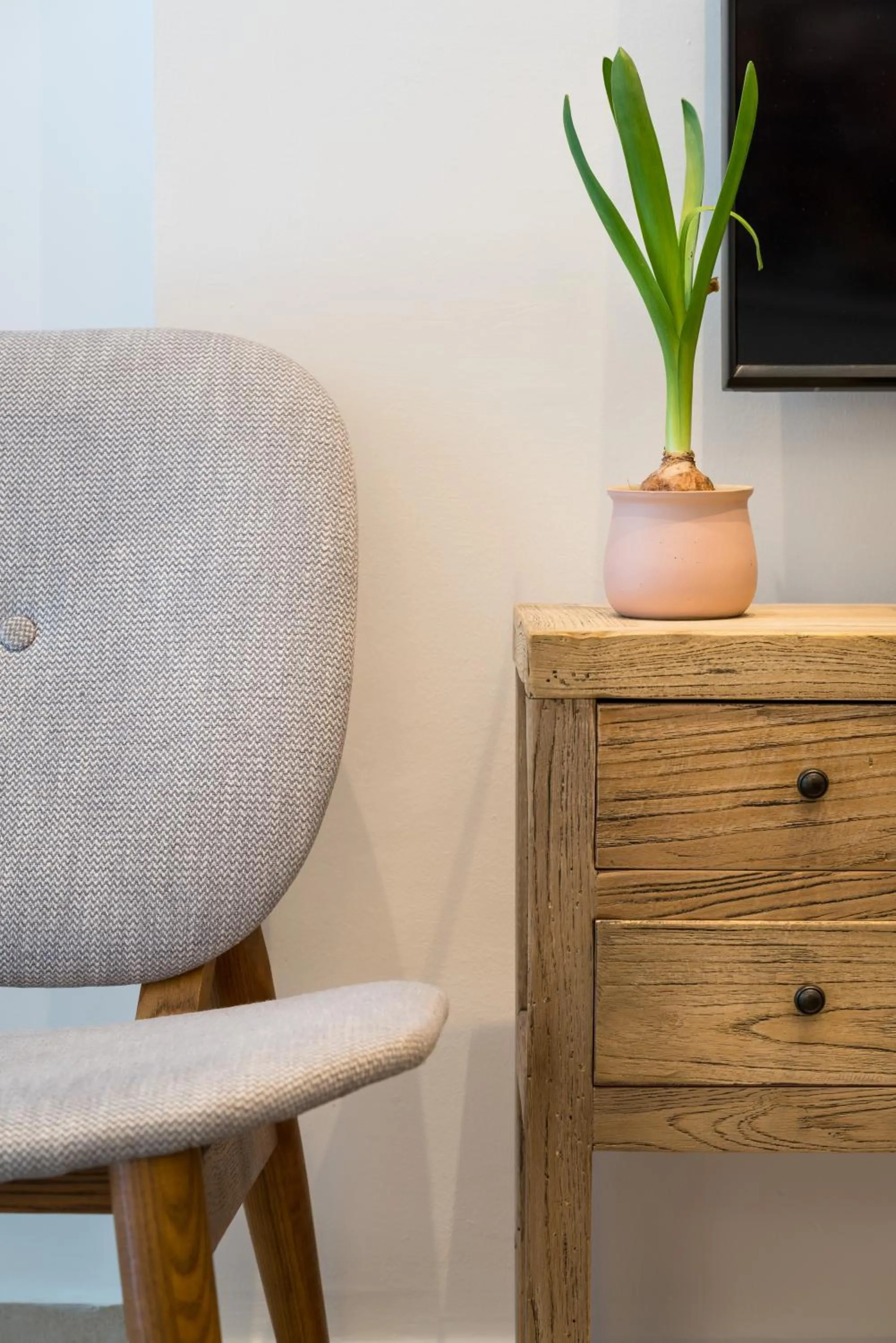 Decorative detail in Reines5 TLV