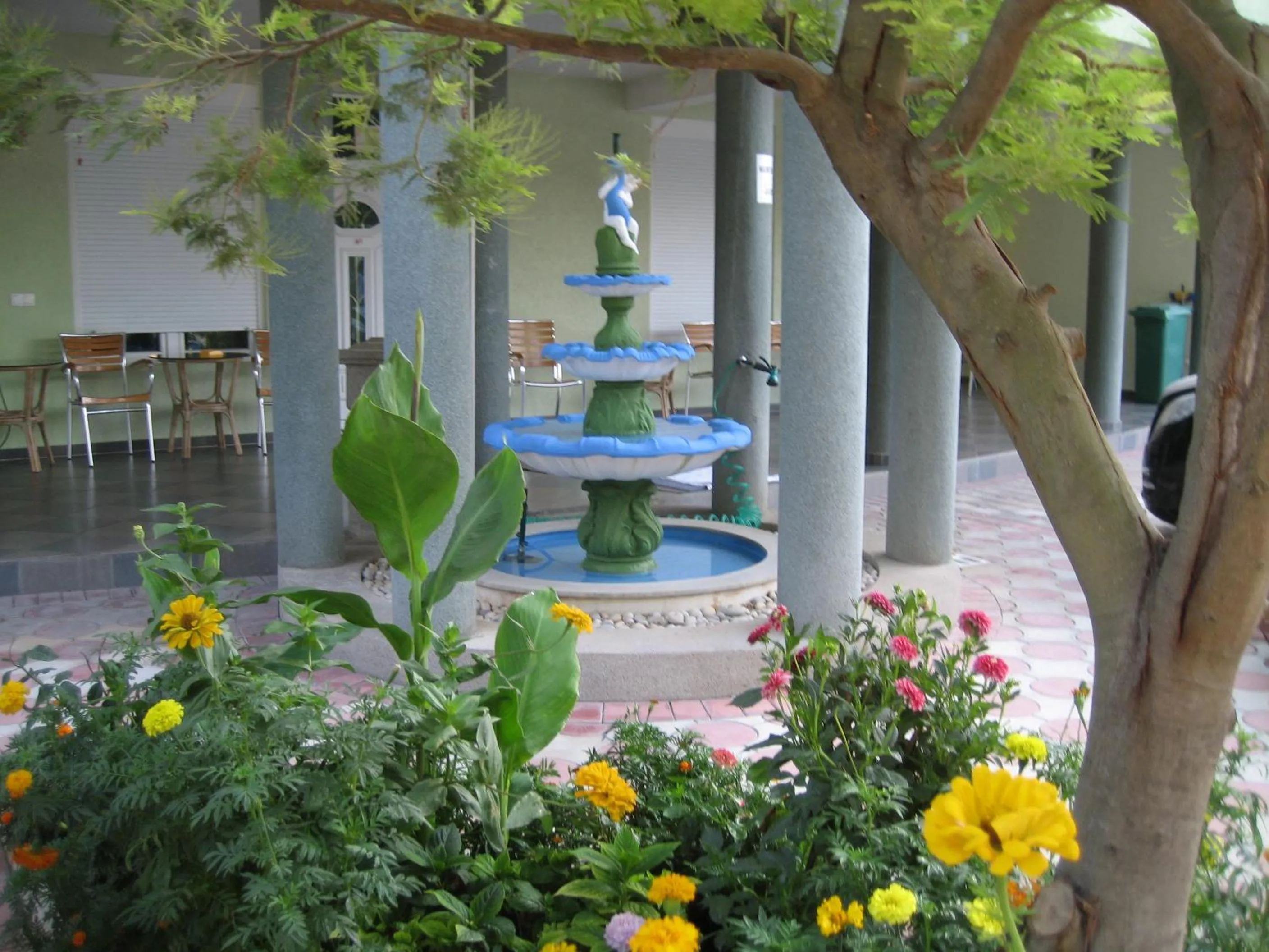 Garden view in Guest House Vila Mimoza