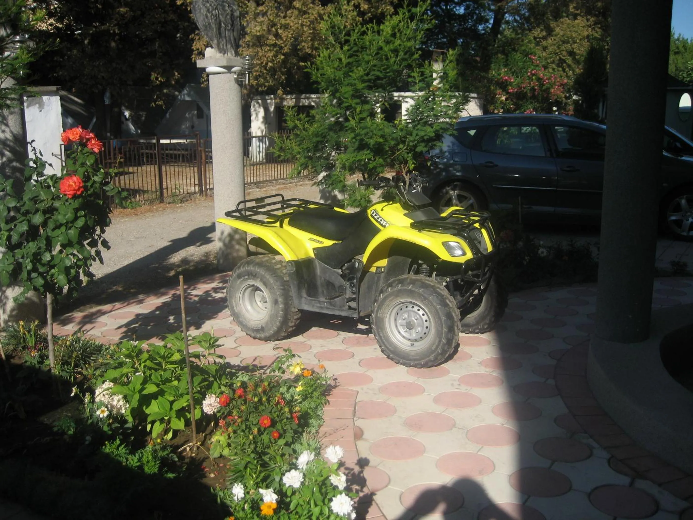 Patio in Guest House Vila Mimoza