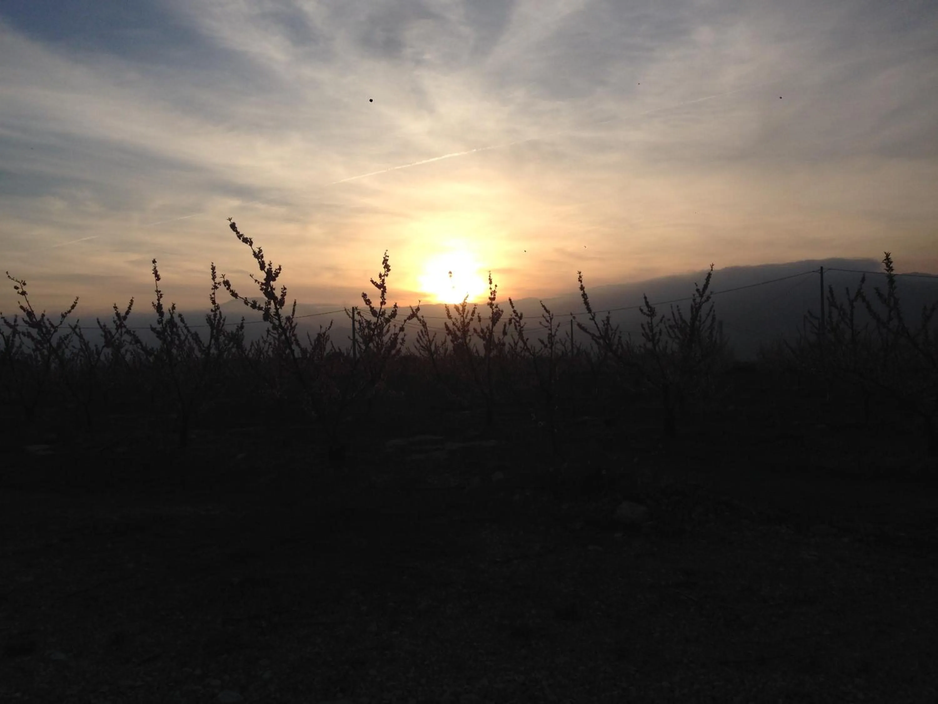 Mountain view in Finca Florecer