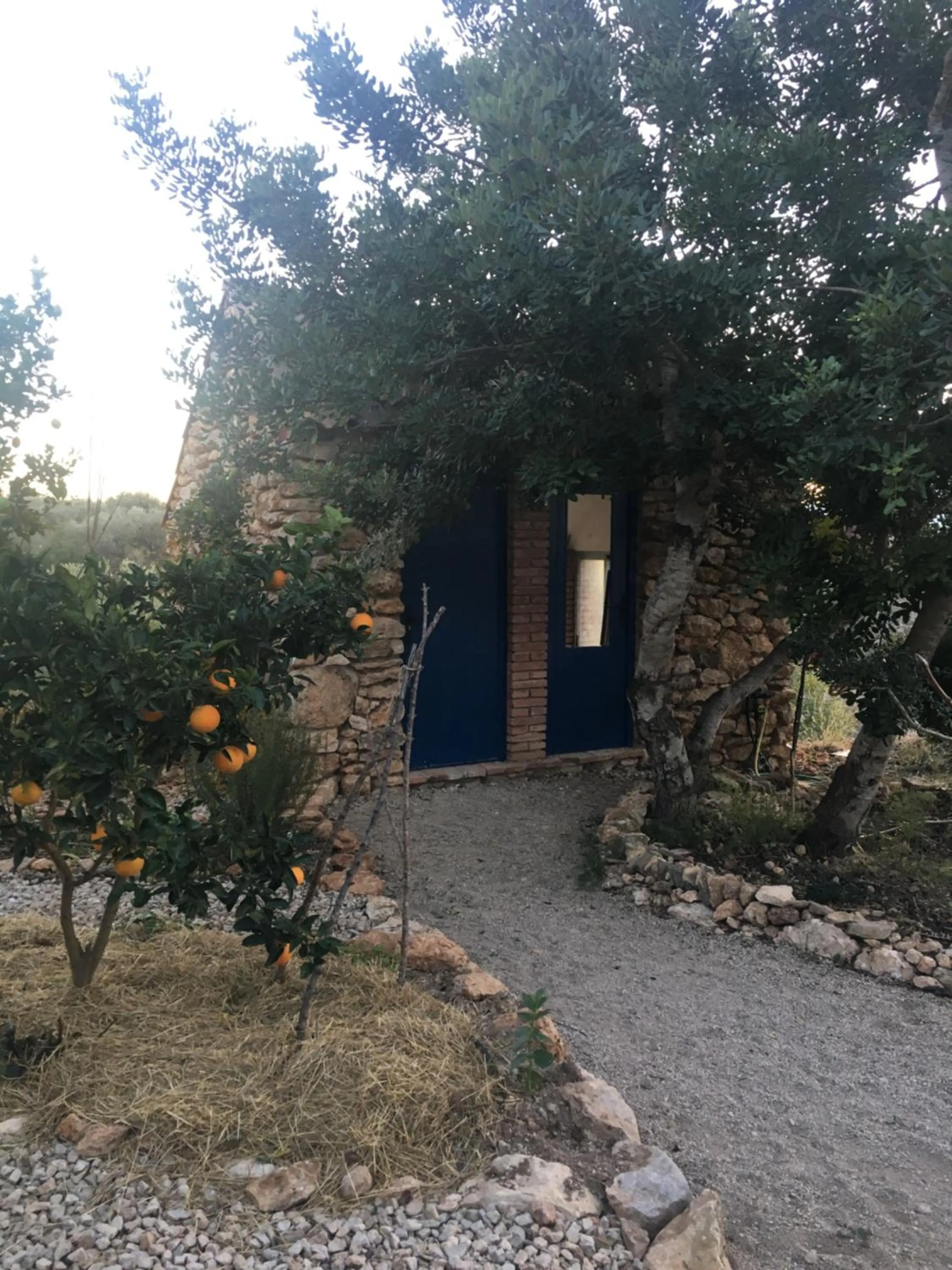 Toilet in Finca Florecer
