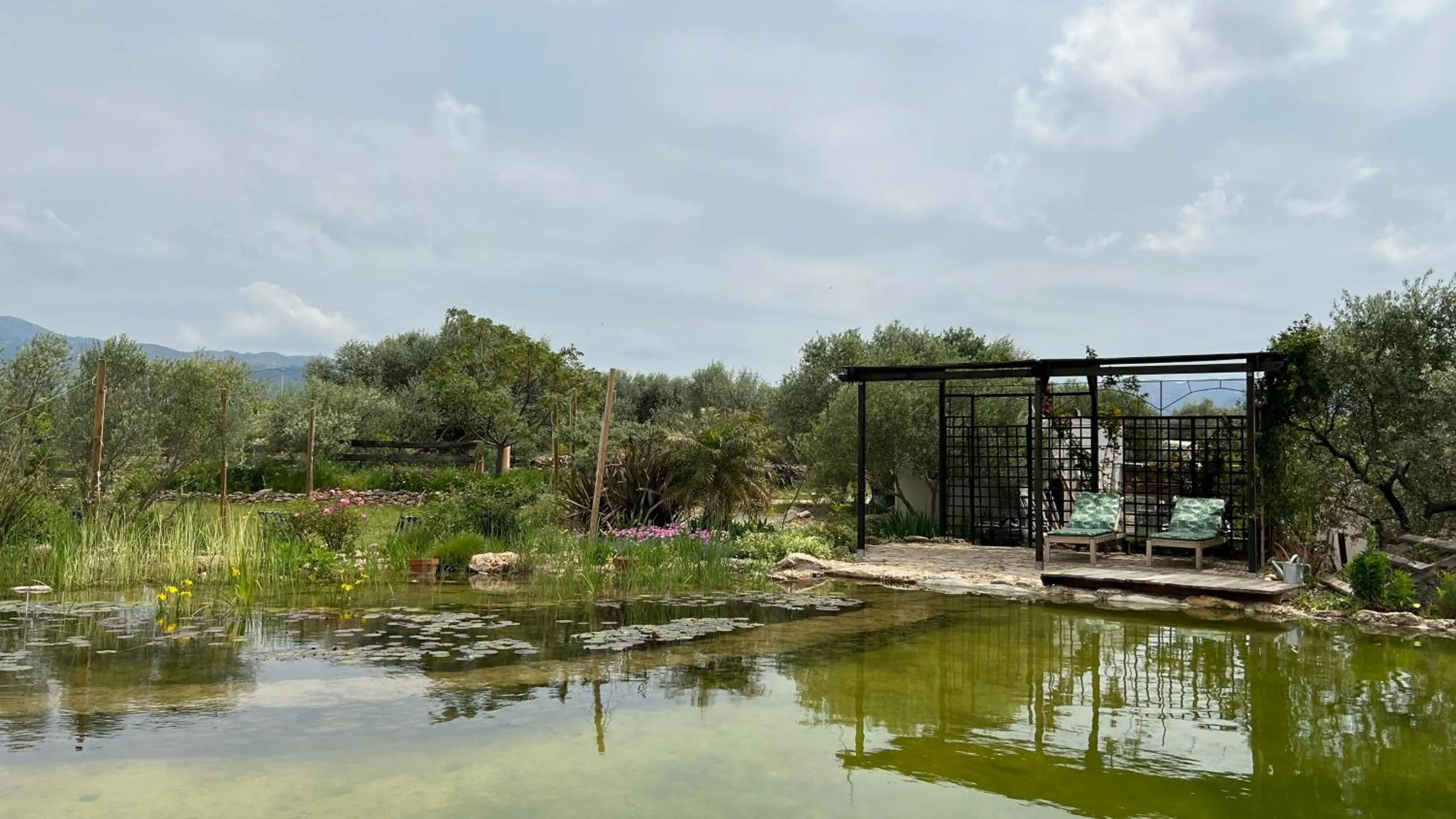 Swimming pool in Finca Florecer