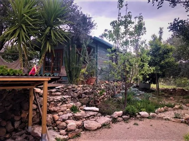 Patio in Finca Florecer