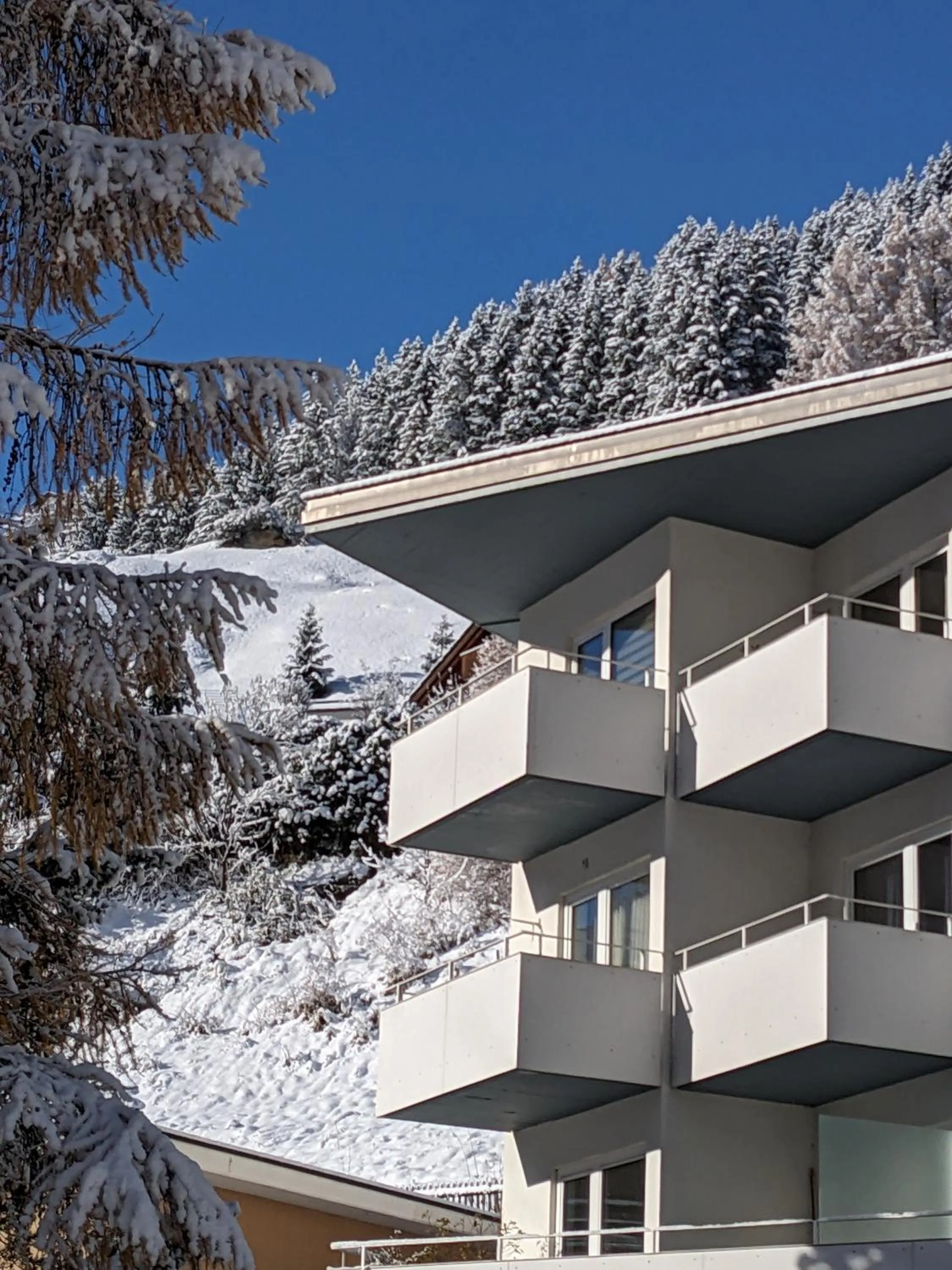 Haus Zervreila