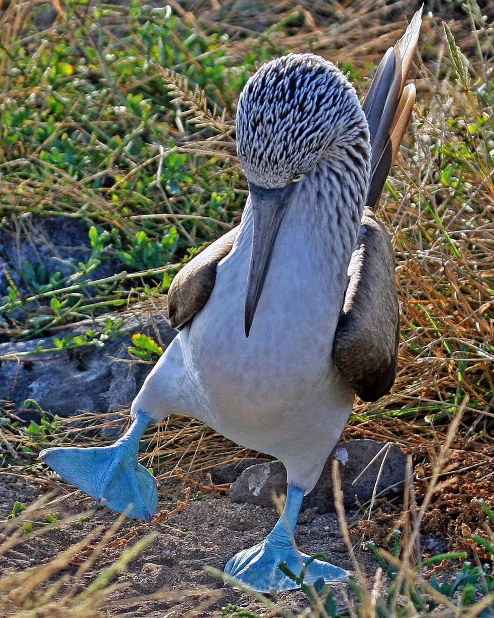 Day in Hotel Isamar Galapagos Beachfront