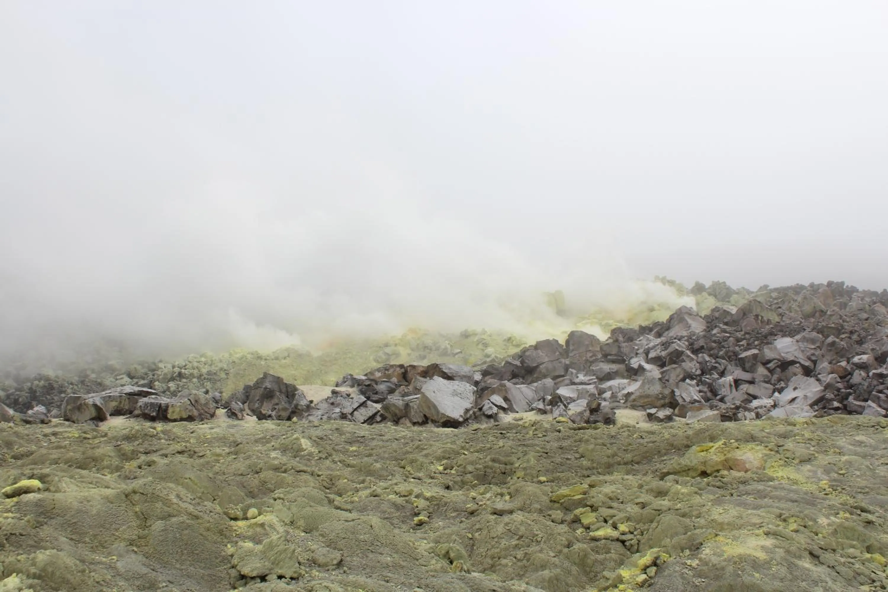 Day in Hotel Isamar Galapagos Beachfront