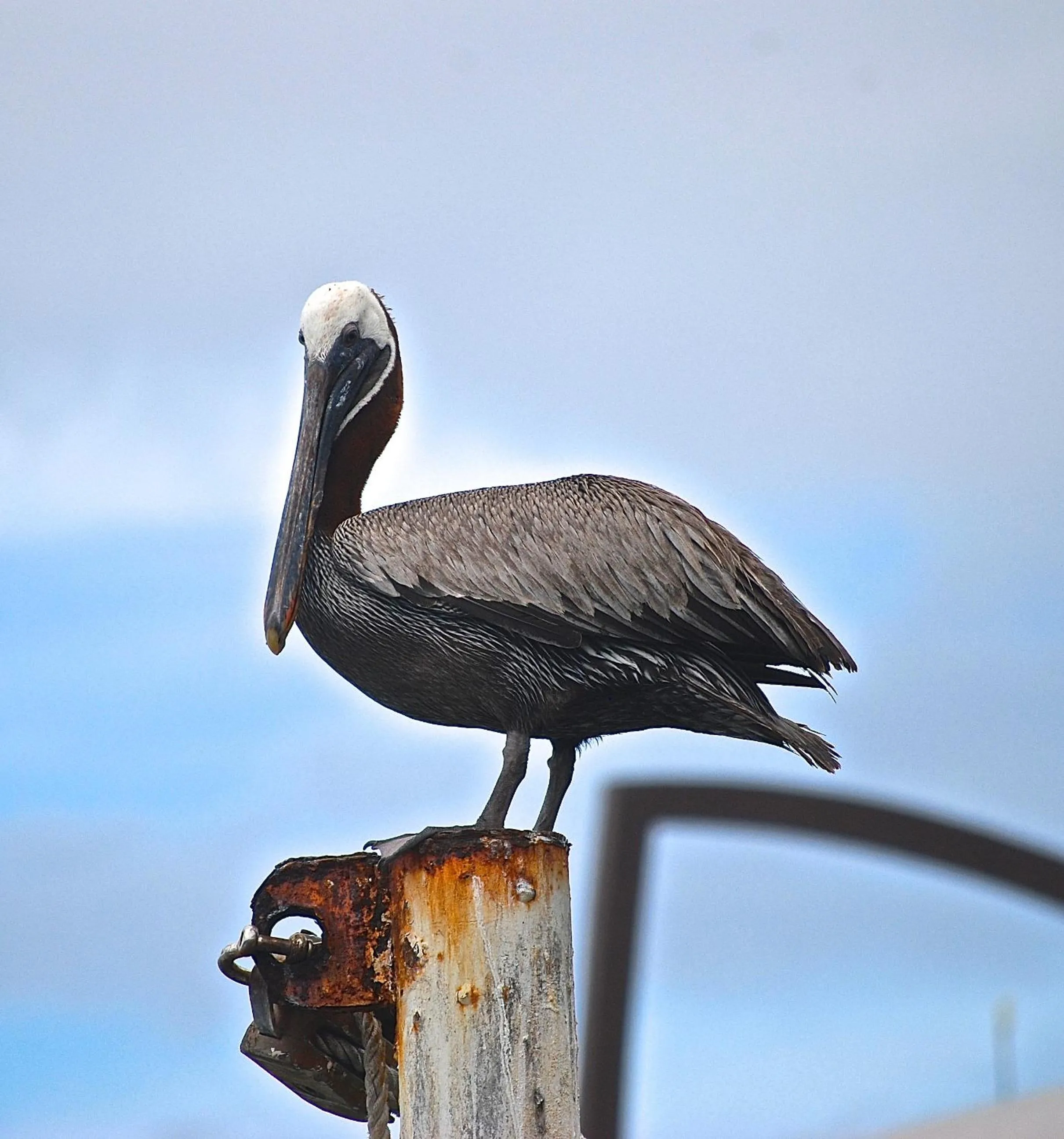Day in Hotel Isamar Galapagos Beachfront