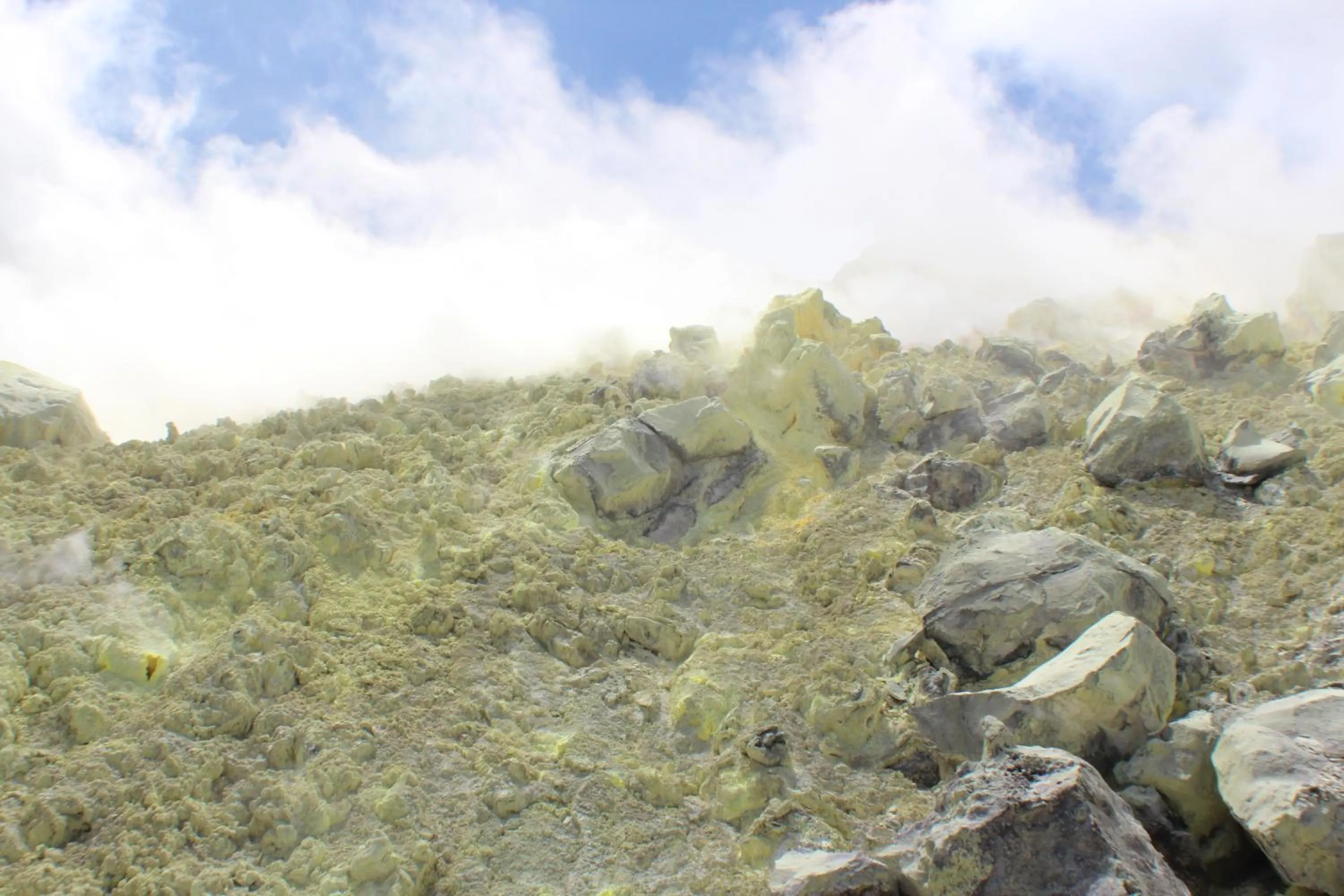 Day in Hotel Isamar Galapagos Beachfront