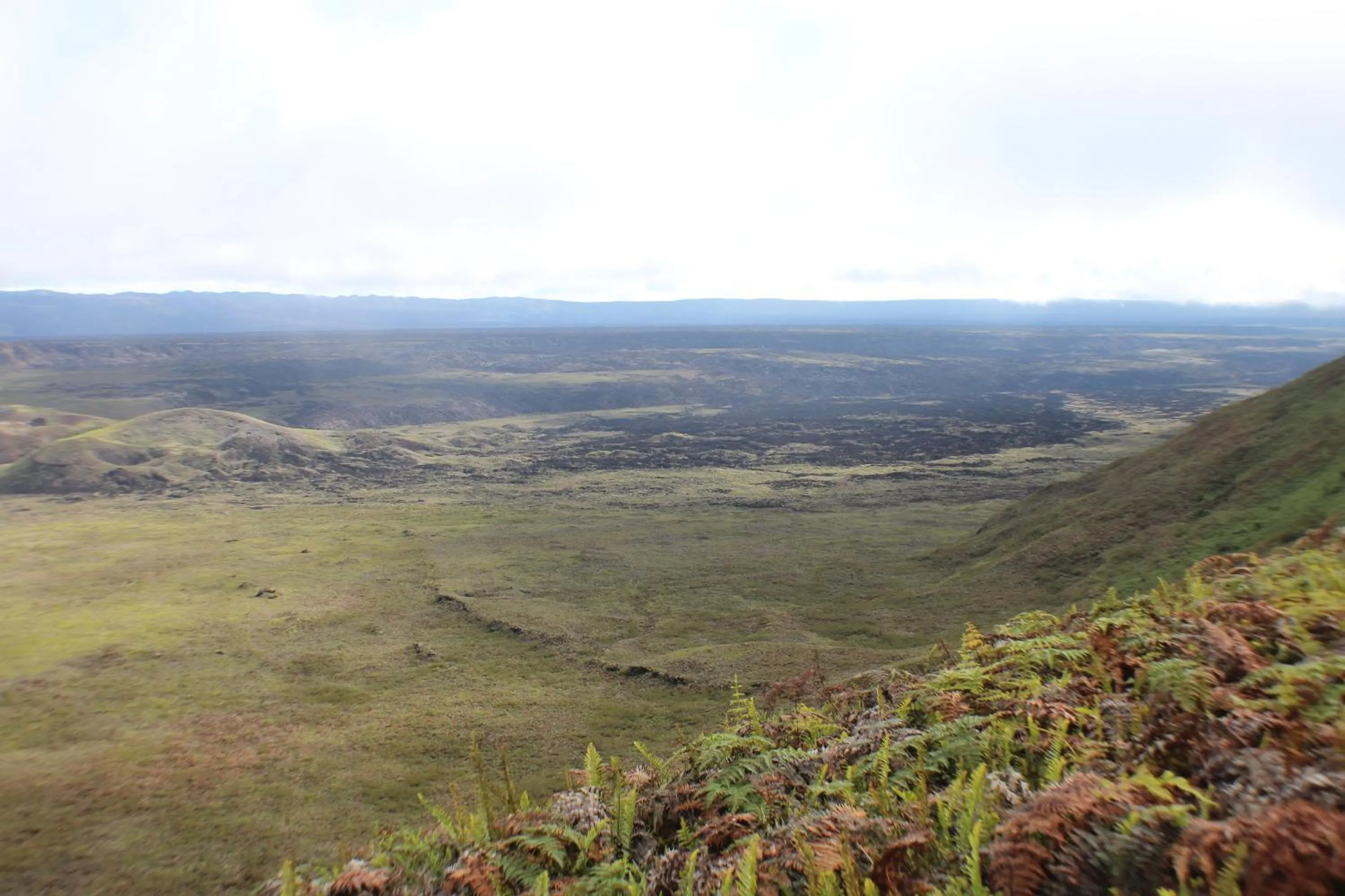 Nearby landmark in Hotel Isamar Galapagos Beachfront