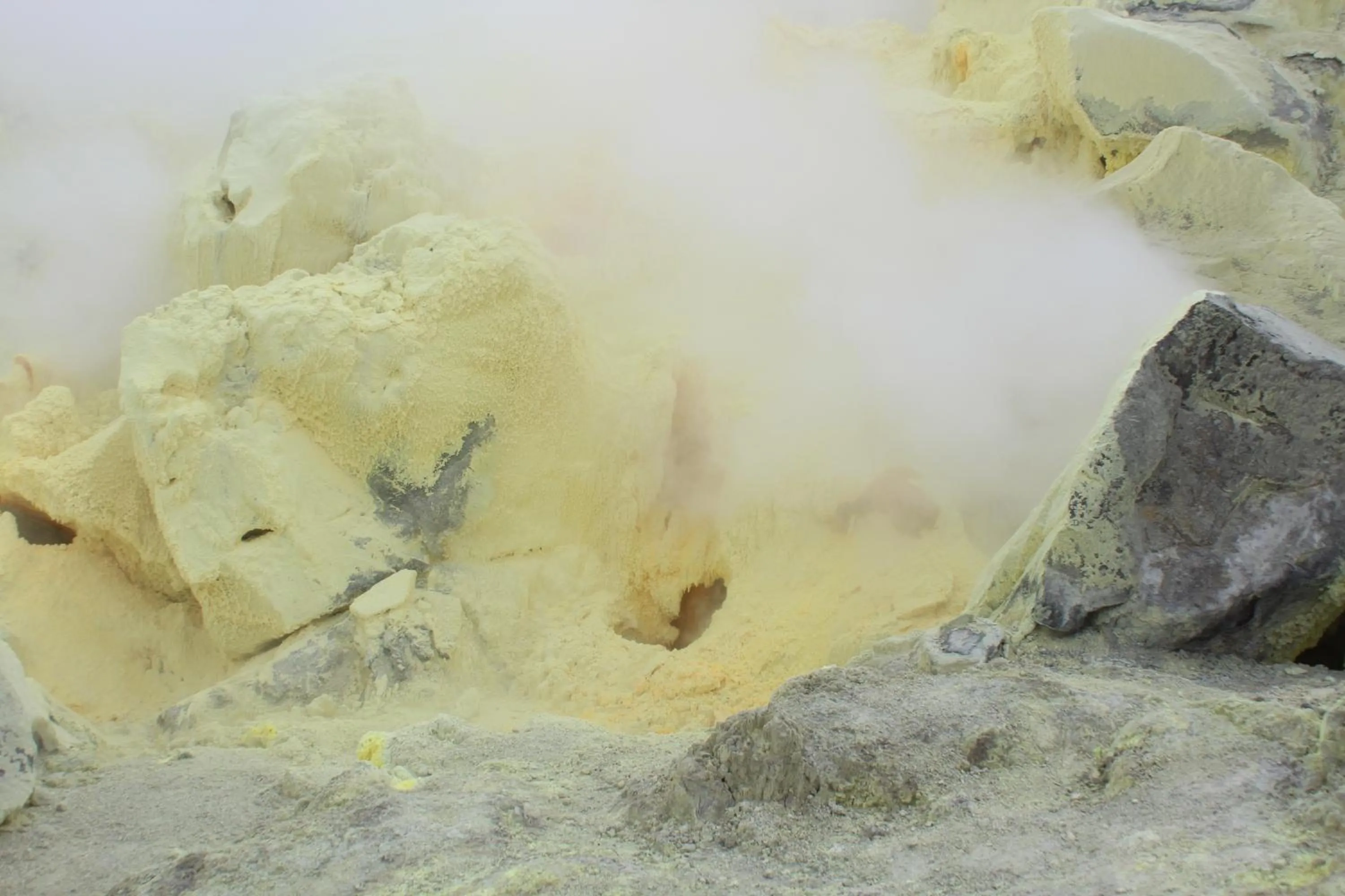 Natural landscape in Hotel Isamar Galapagos Beachfront