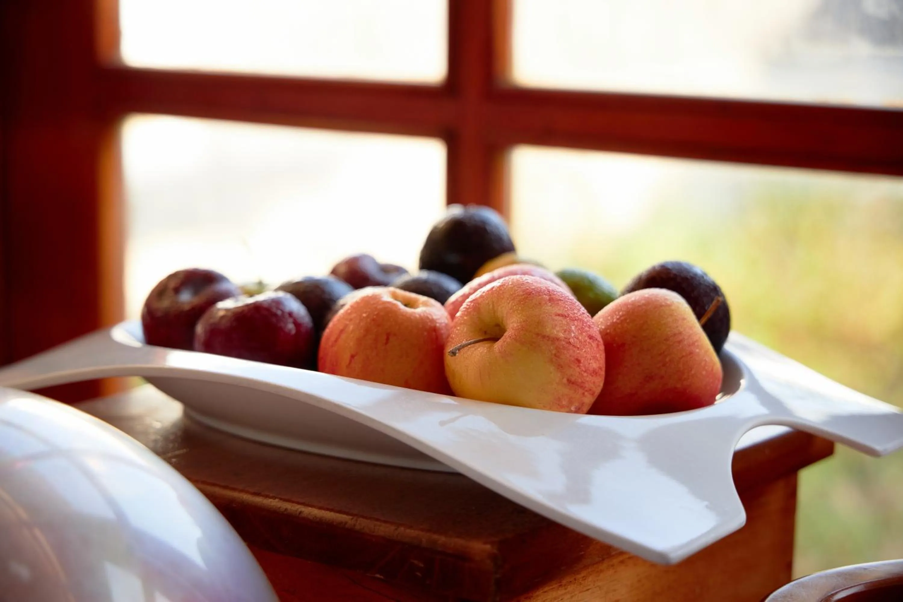 Food and drinks in Hotel Isamar Galapagos Beachfront