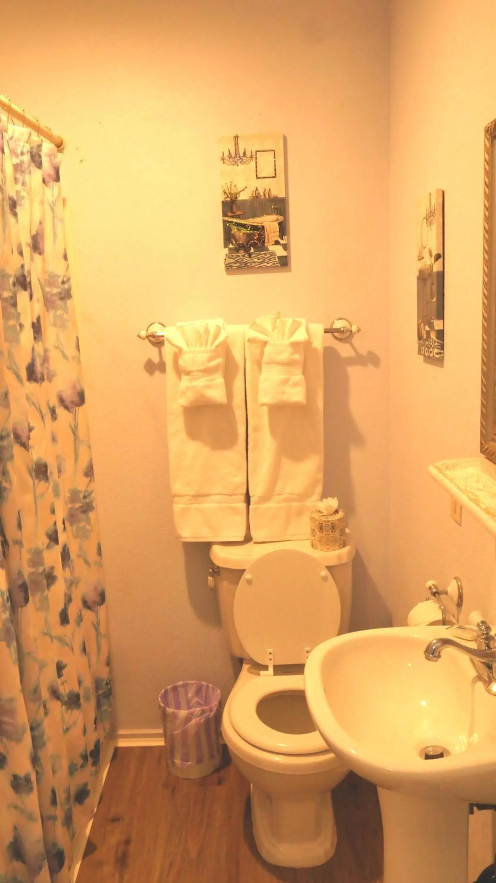 Toilet in Tombstone Bordello Bed & Breakfast