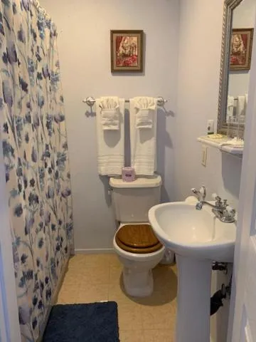 Toilet in Tombstone Bordello Bed & Breakfast