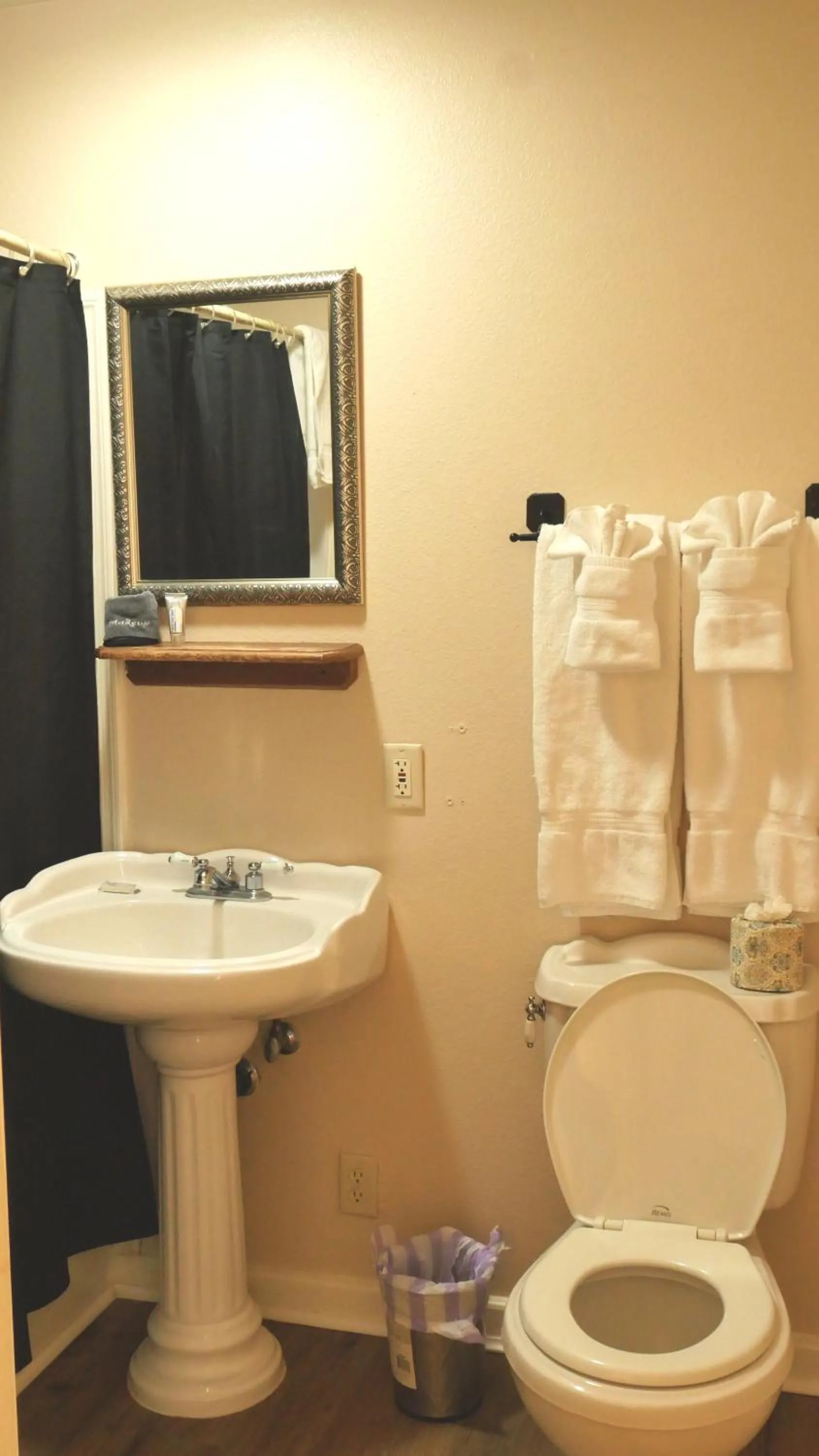 Toilet in Tombstone Bordello Bed & Breakfast