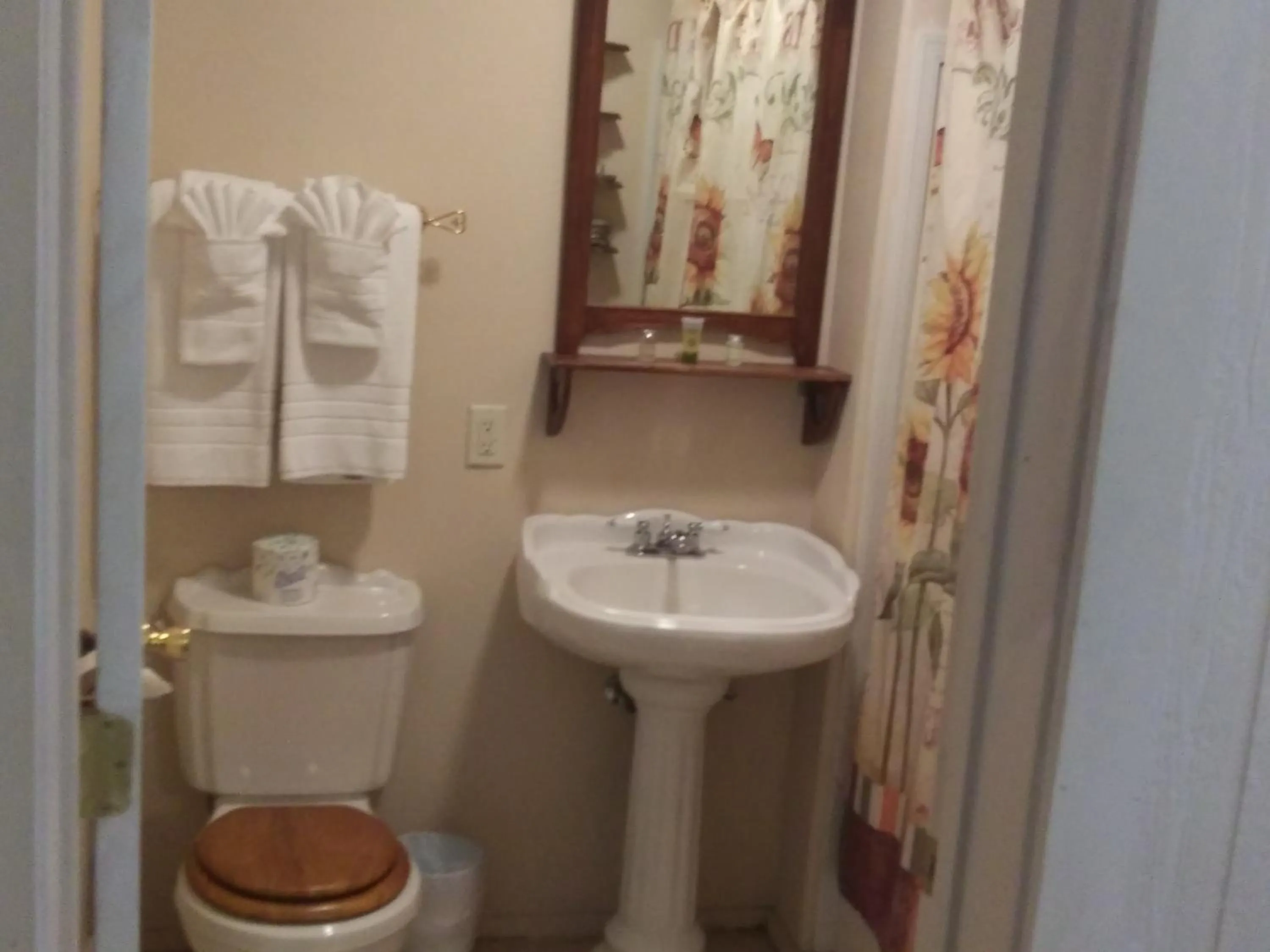 Toilet in Tombstone Bordello Bed & Breakfast