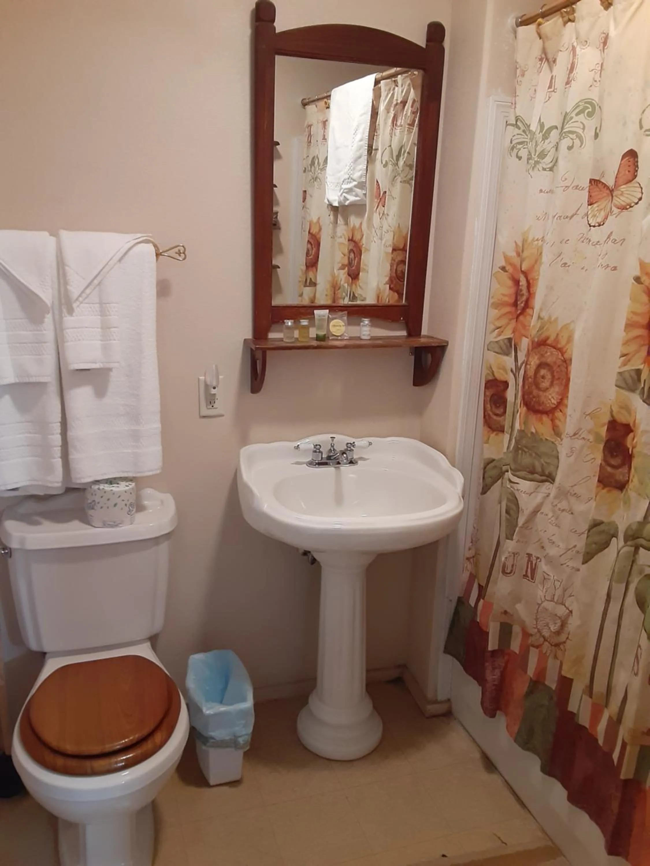Bathroom in Tombstone Bordello Bed & Breakfast