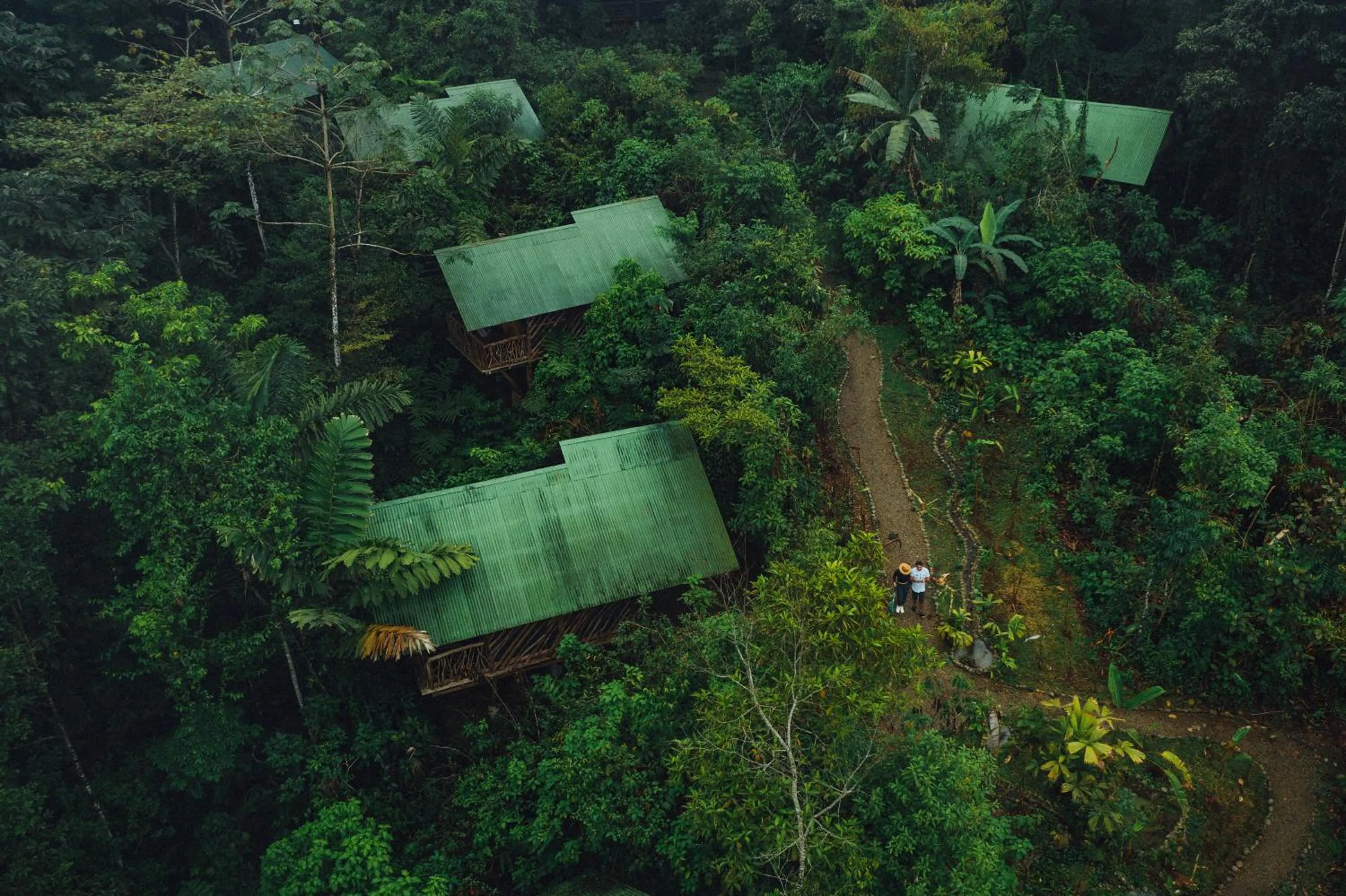 Tent + Tour in La Tigra Rainforest Lodge