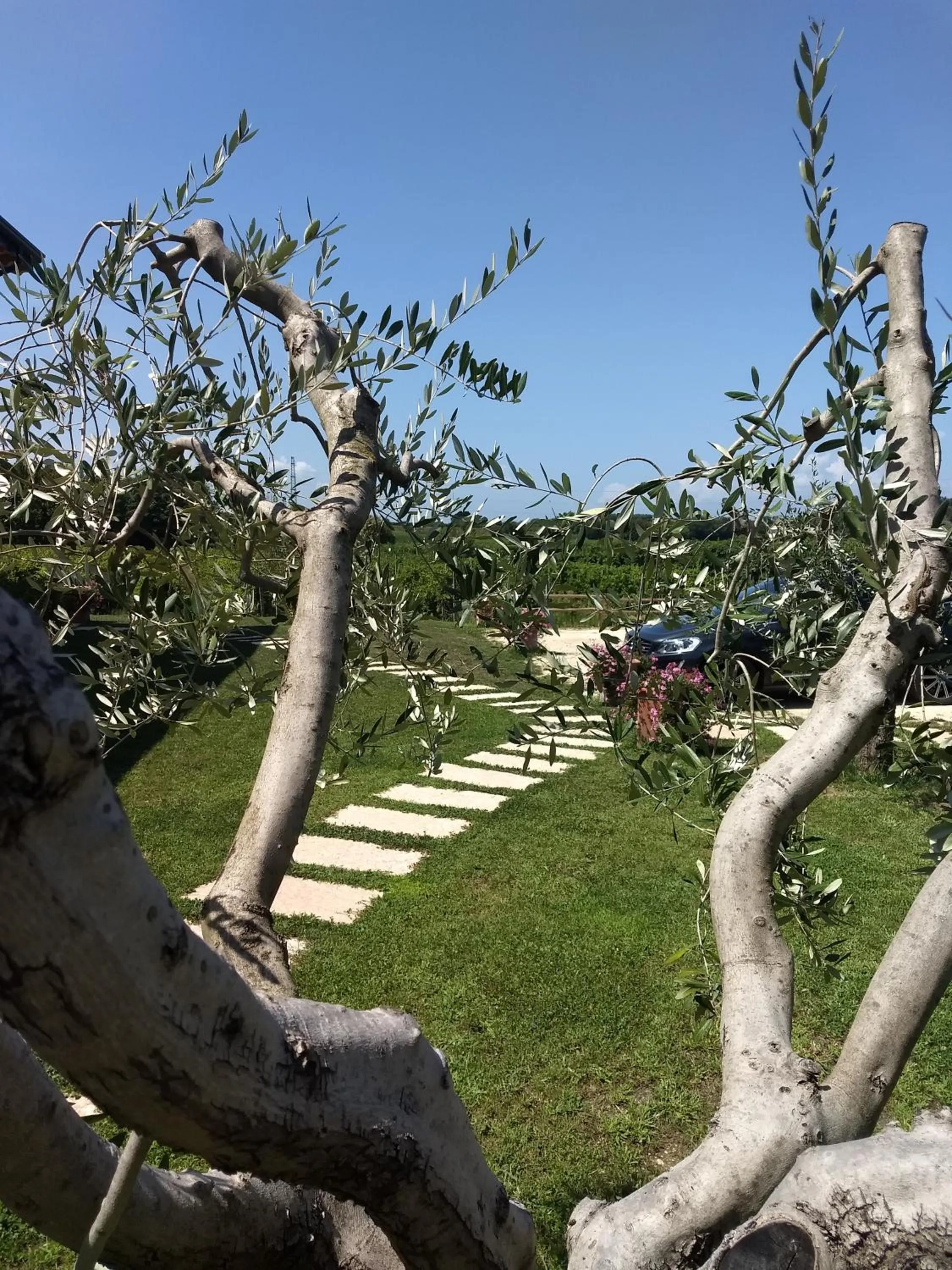 Garden view in Residenza Pastrengo