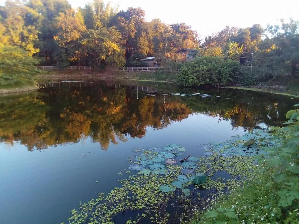 Nearby landmark in Pagoda Sight Residence